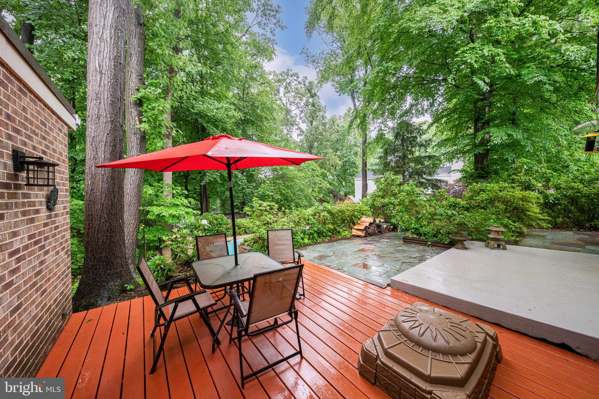 CHAIN BRIDGE FOREST - Residential