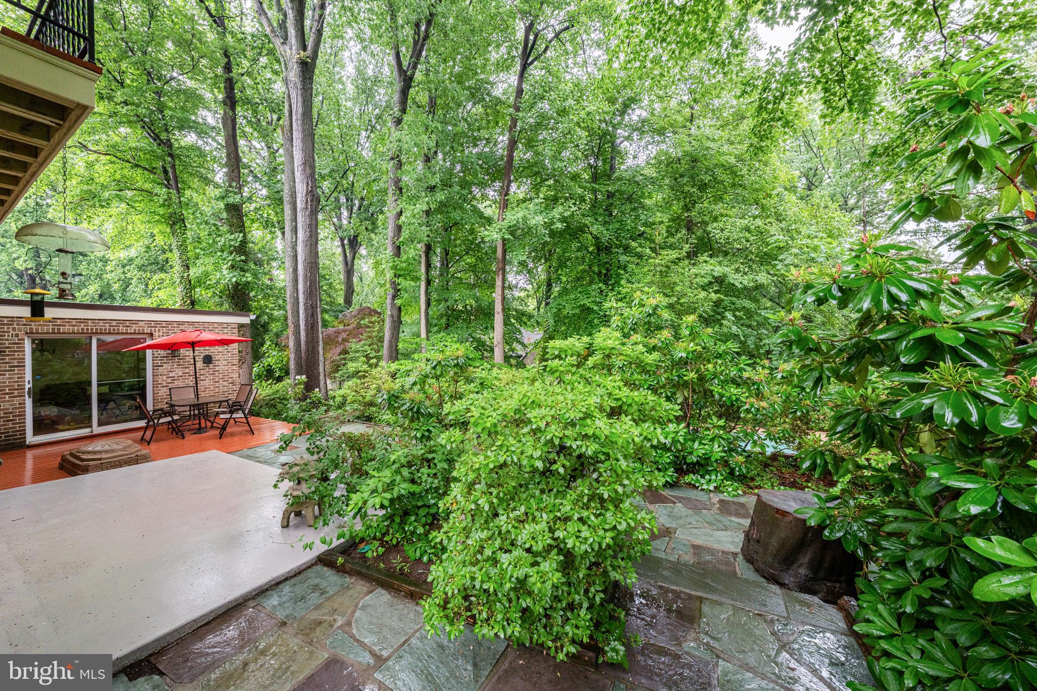 CHAIN BRIDGE FOREST - Residential