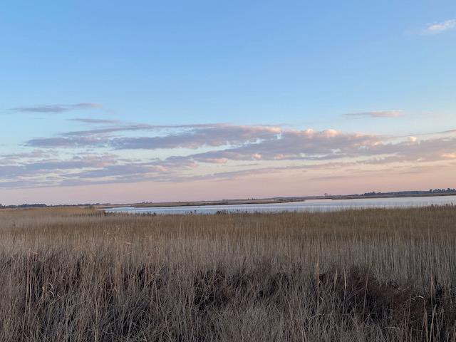 PRIMEHOOK BEACH - Residential