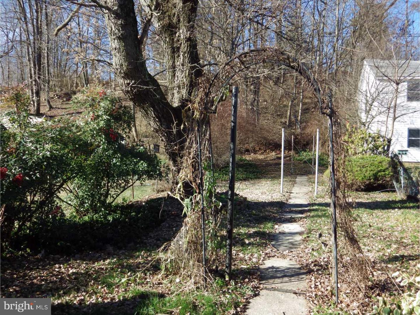 PINE GROVE - Residential