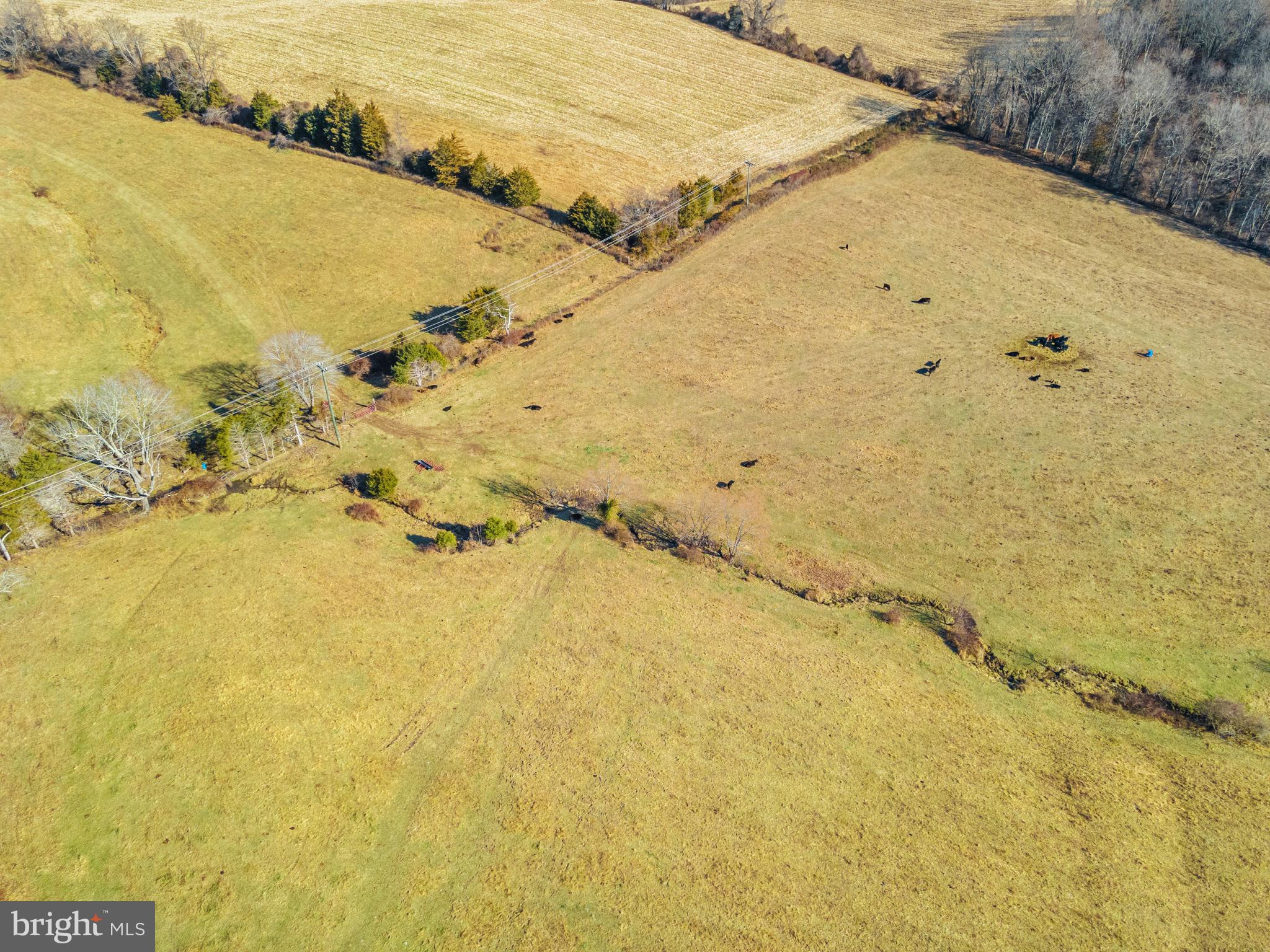 MARSHALL, VA - Land