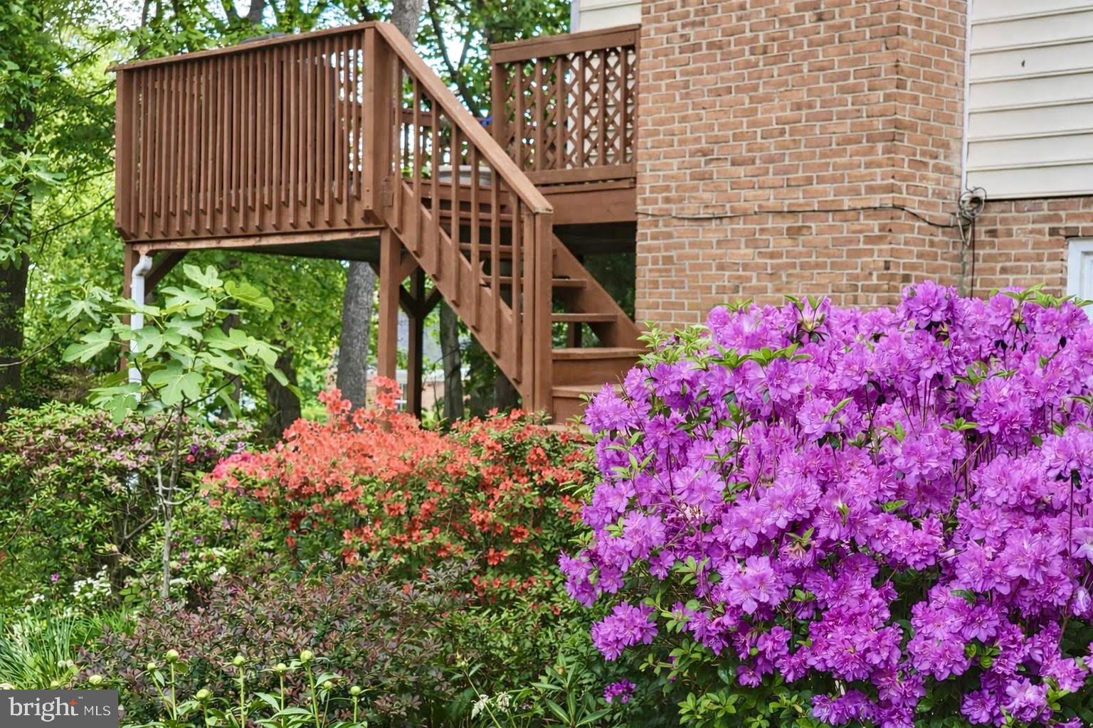 BLACK OAK CLUSTER - Residential