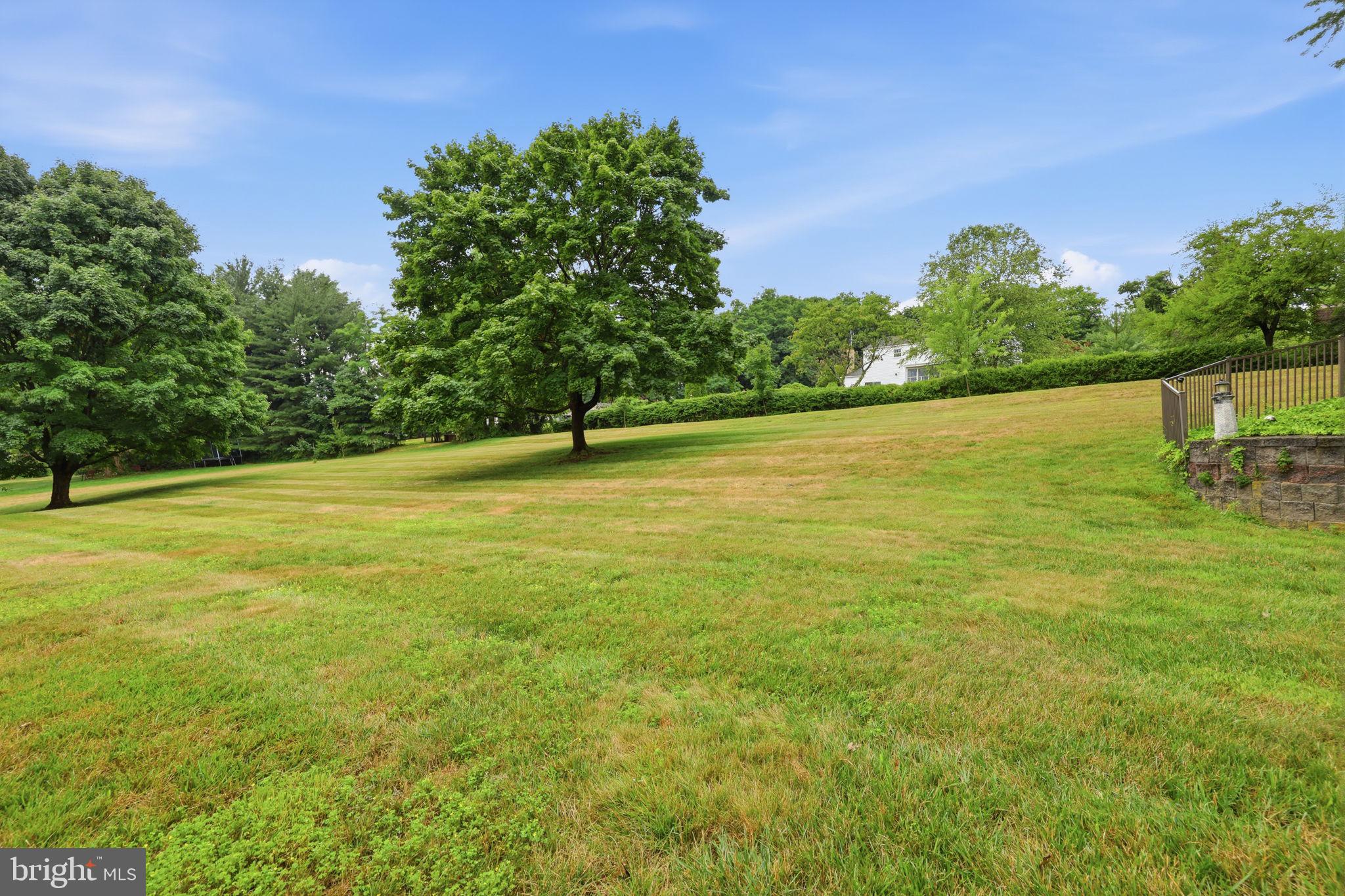 CHESTNUT HILL ACRES - Residential