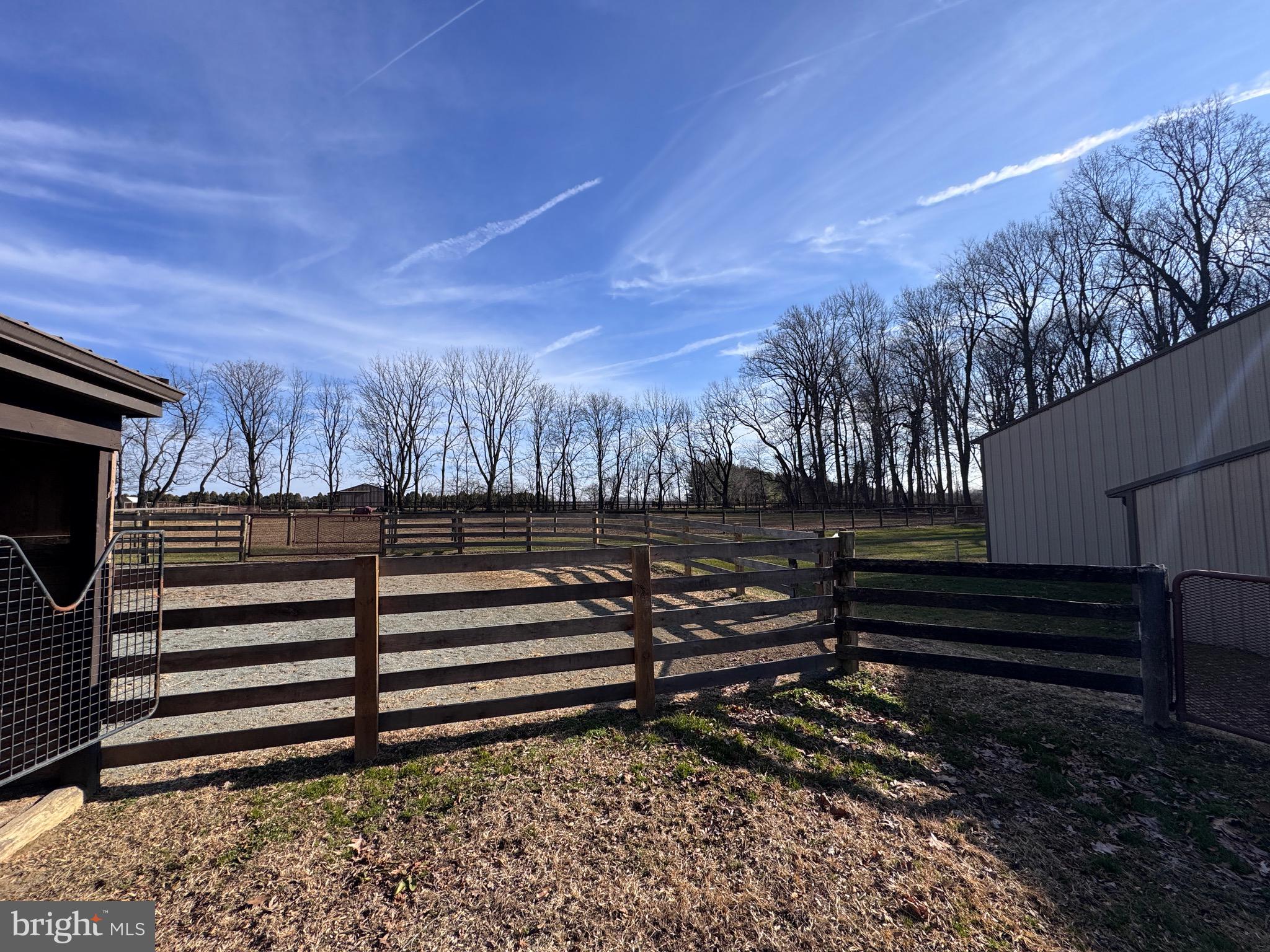 NONE AVAILABLE - Farm