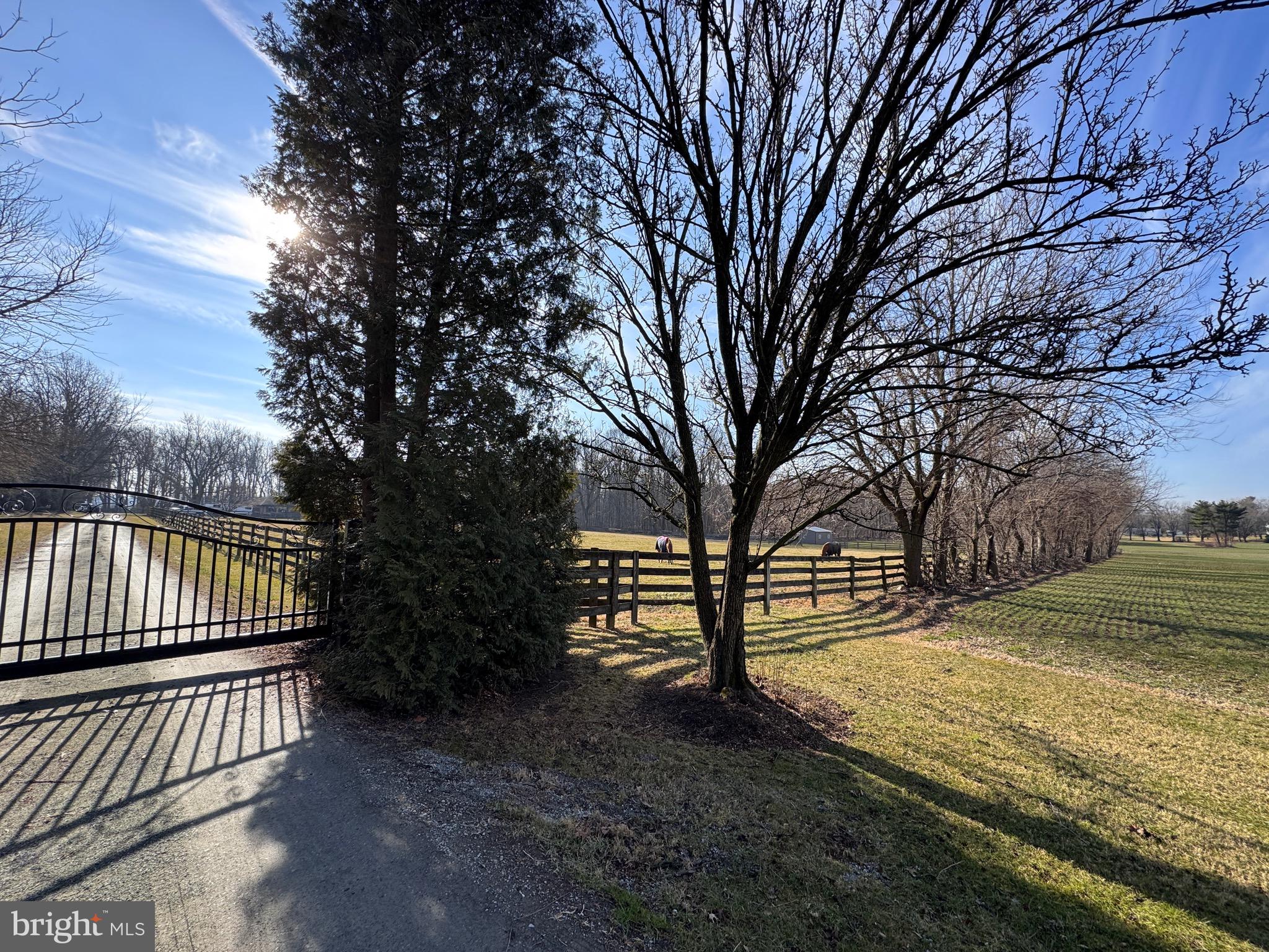 NONE AVAILABLE - Farm