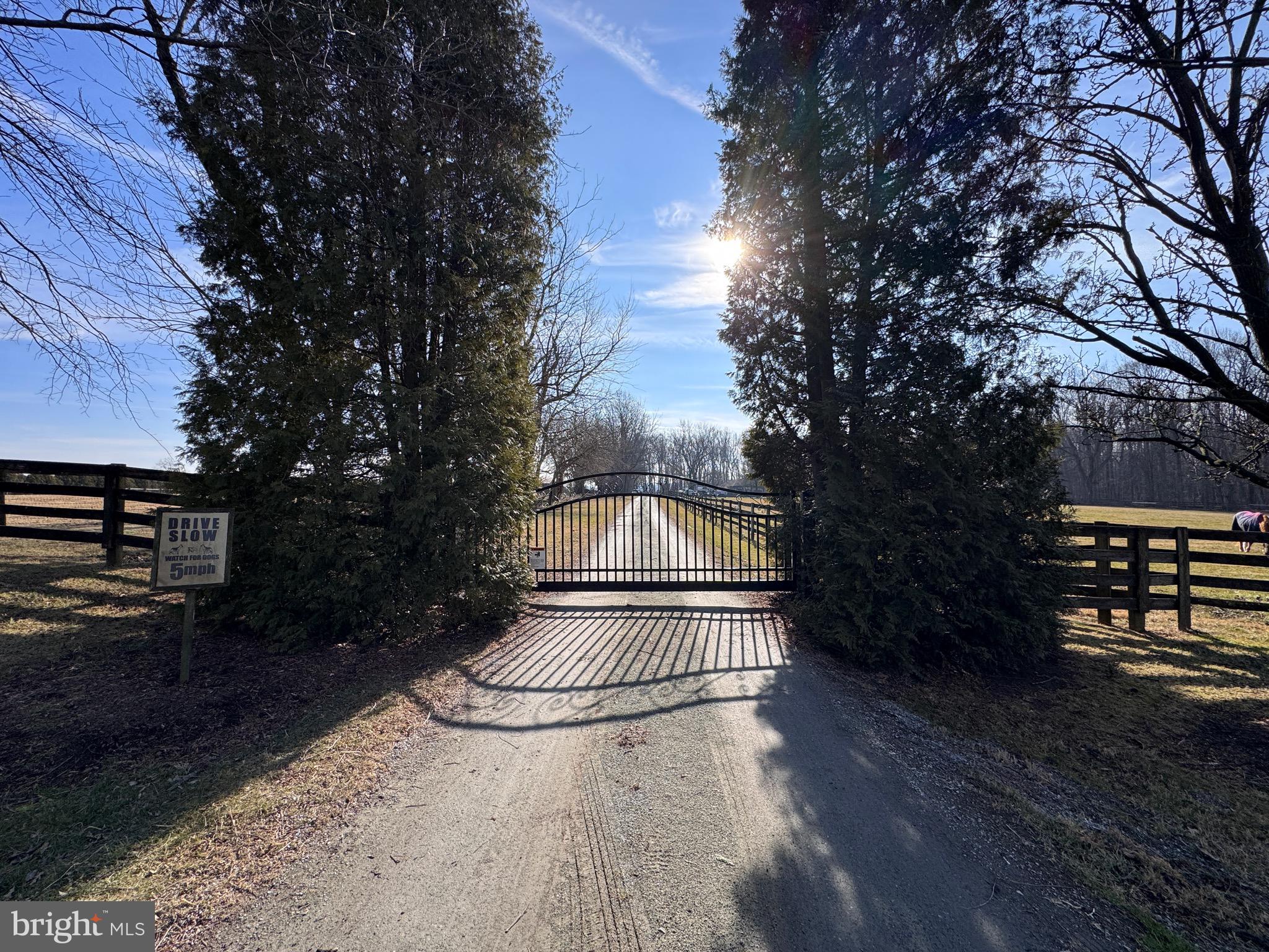 NONE AVAILABLE - Farm