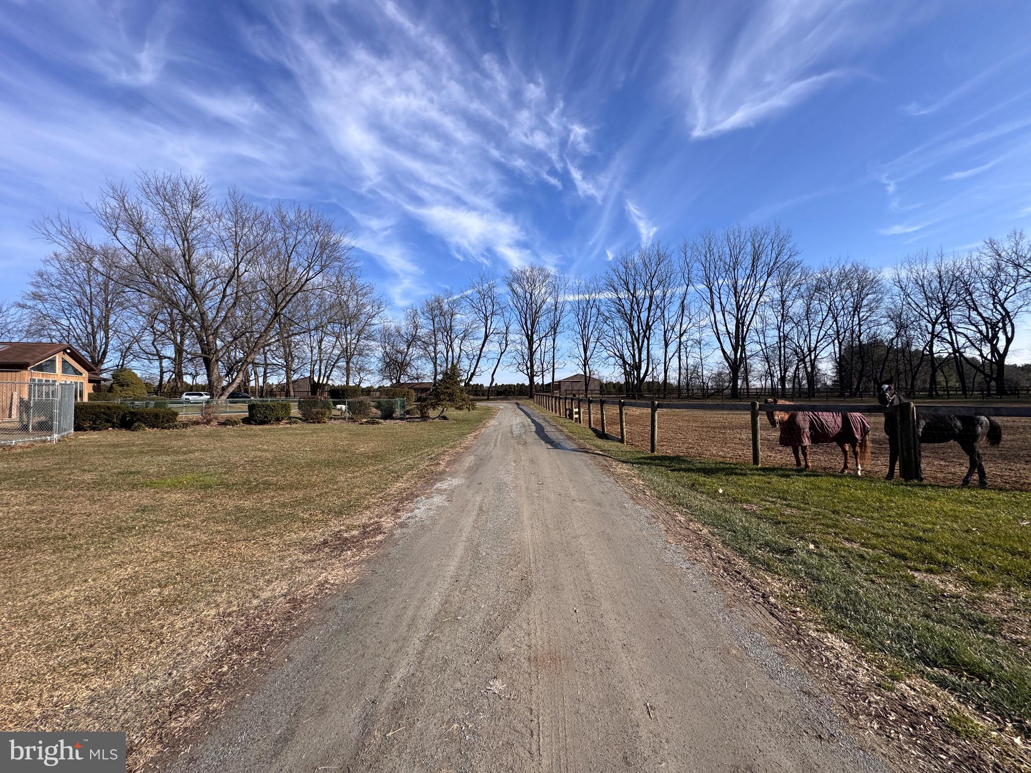 NONE AVAILABLE - Farm