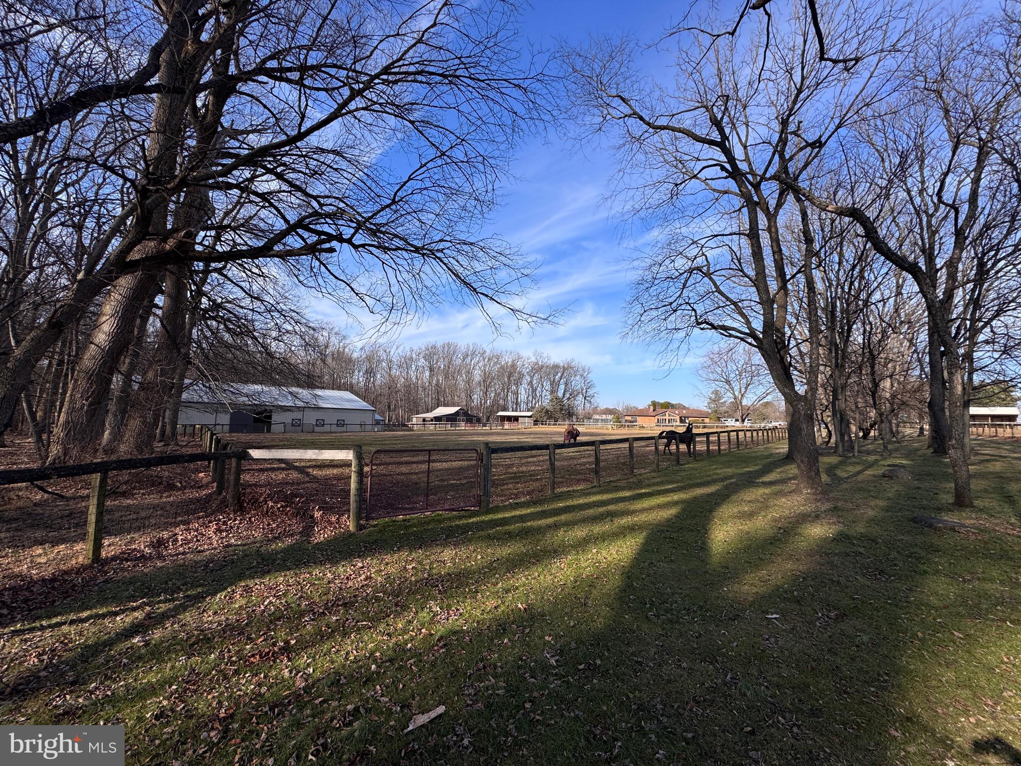 NONE AVAILABLE - Farm