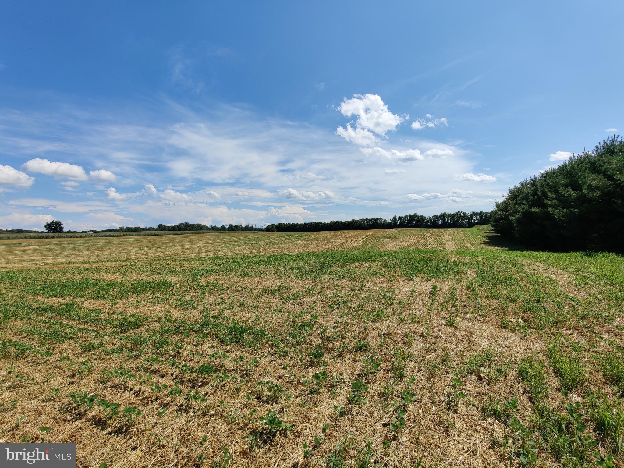 ANTRIM - Farm