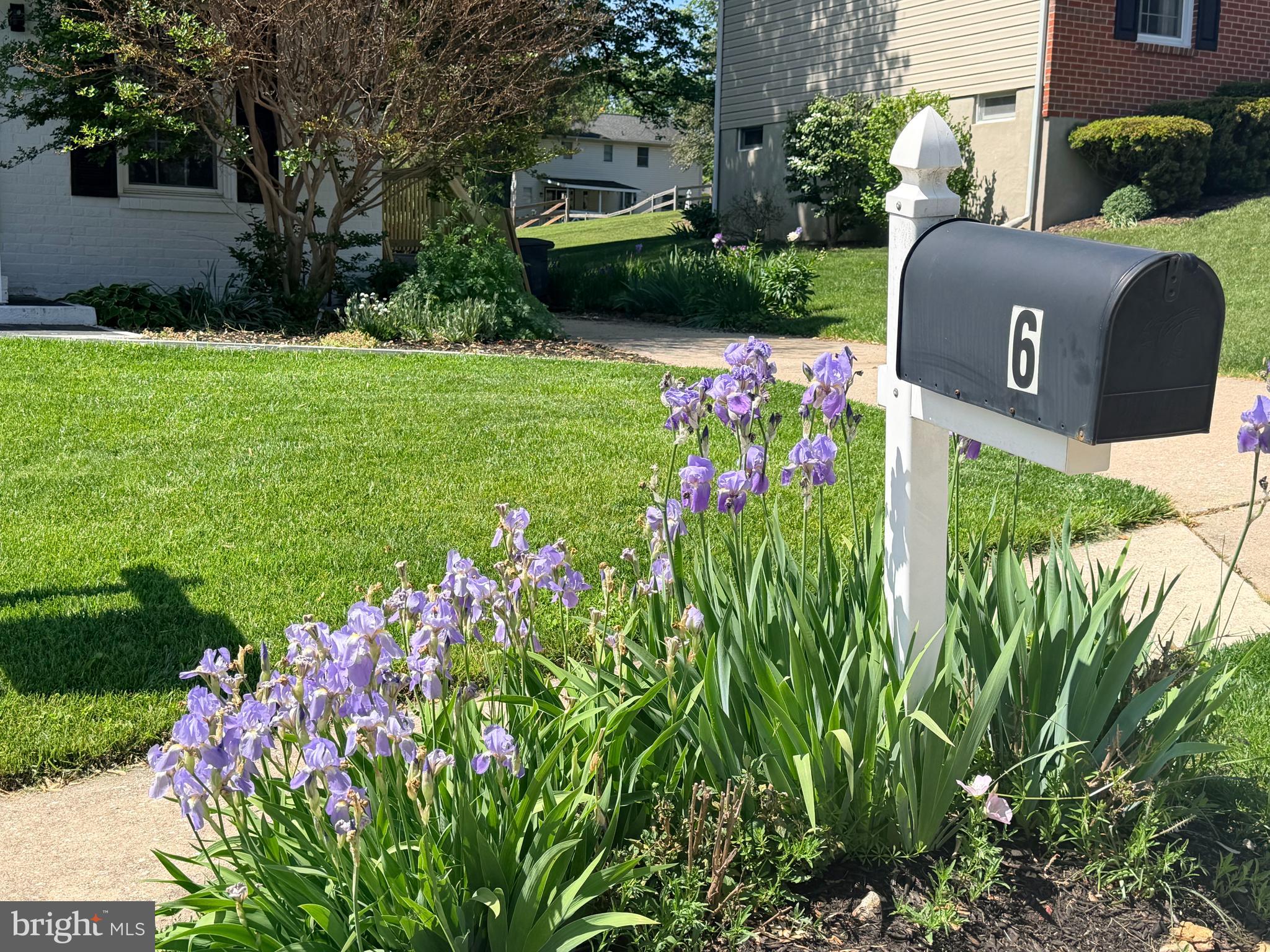 SPRINGDALE - Residential