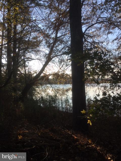 SADDLE CREEK - Land
