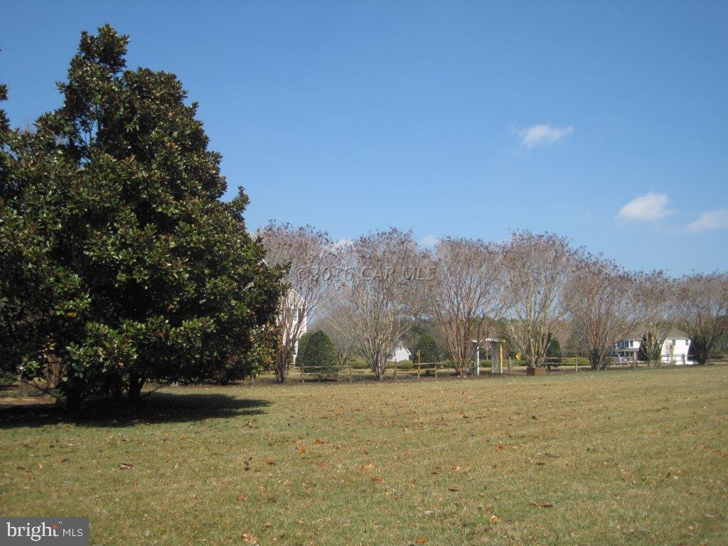 SADDLE CREEK - Land