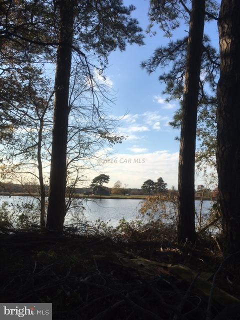 SADDLE CREEK - Land