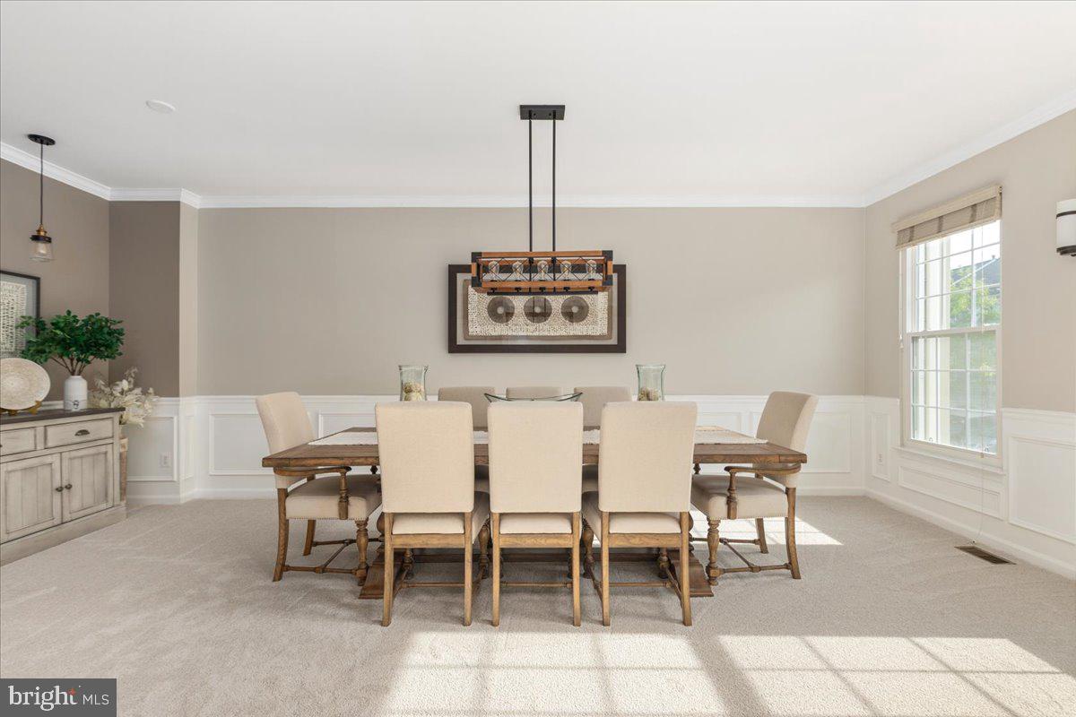 GREAT FALLS CHASE - Residential