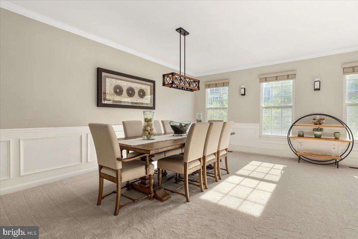 GREAT FALLS CHASE - Residential