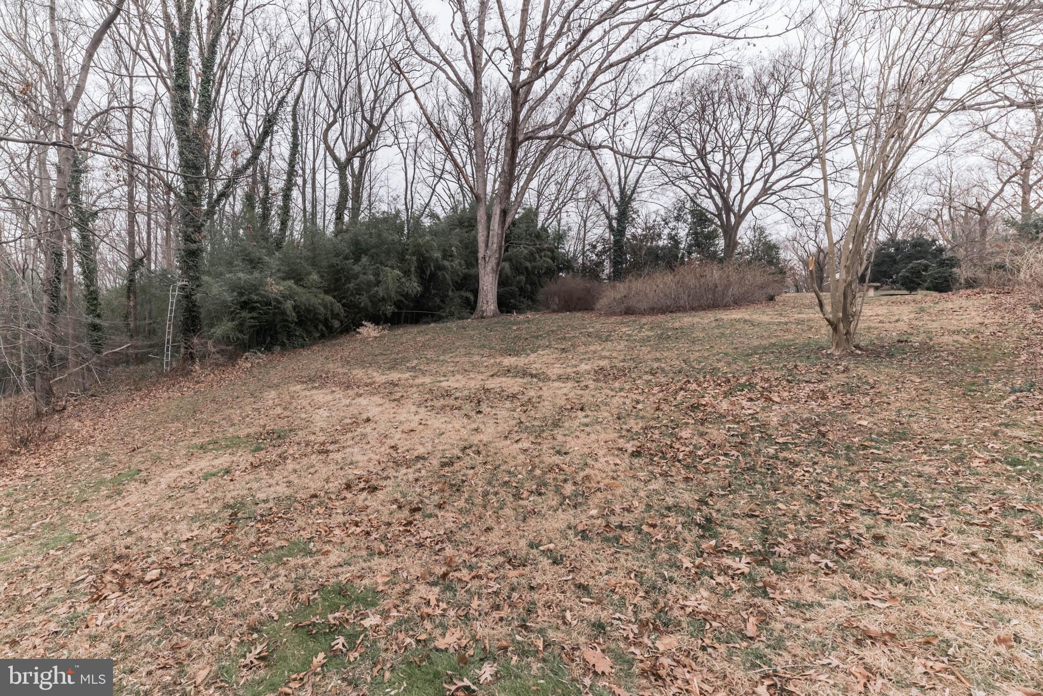 HOLMES RUN HEIGHTS - Land