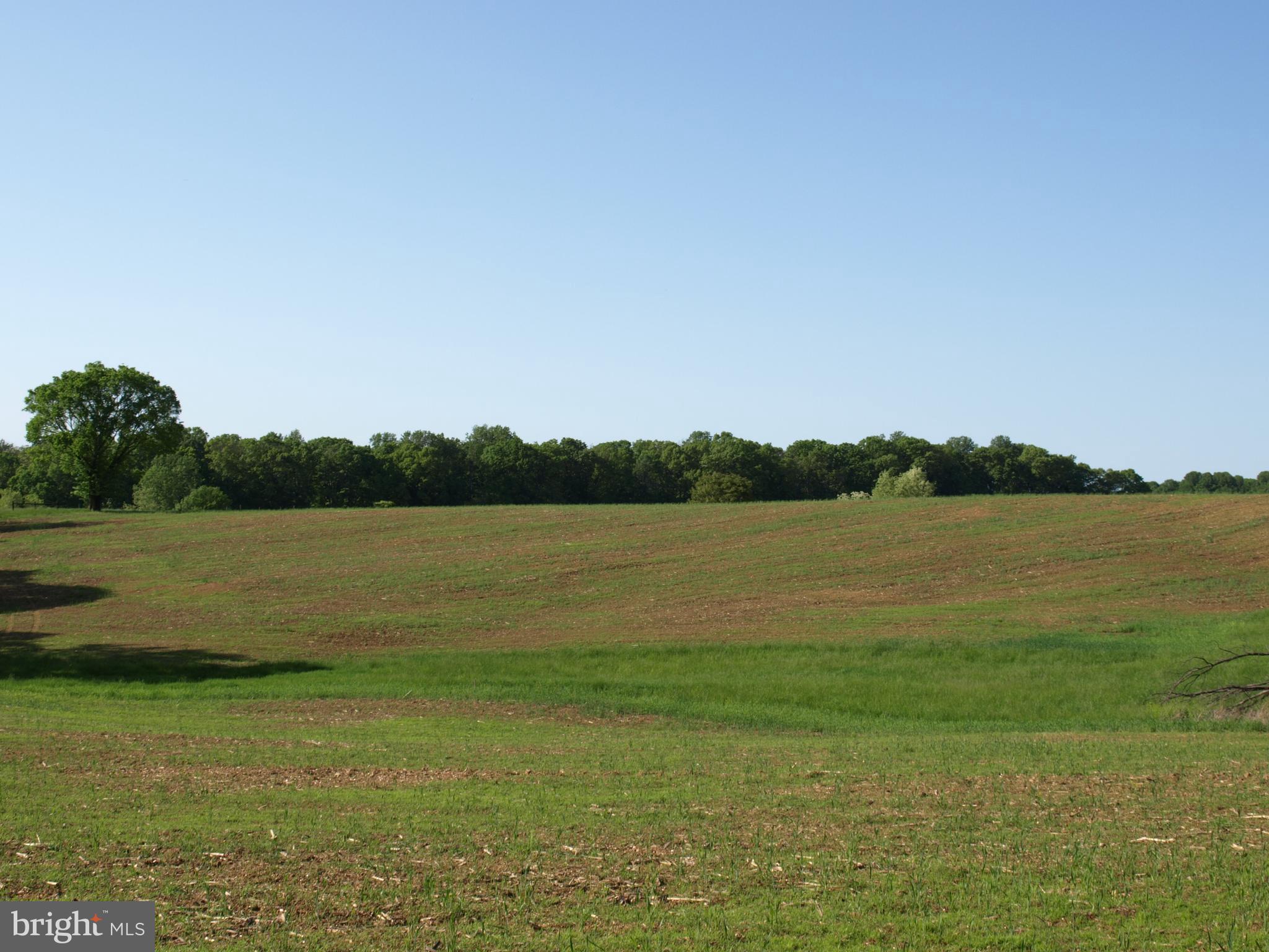 RESERVE AT BLACK ROCK - Land