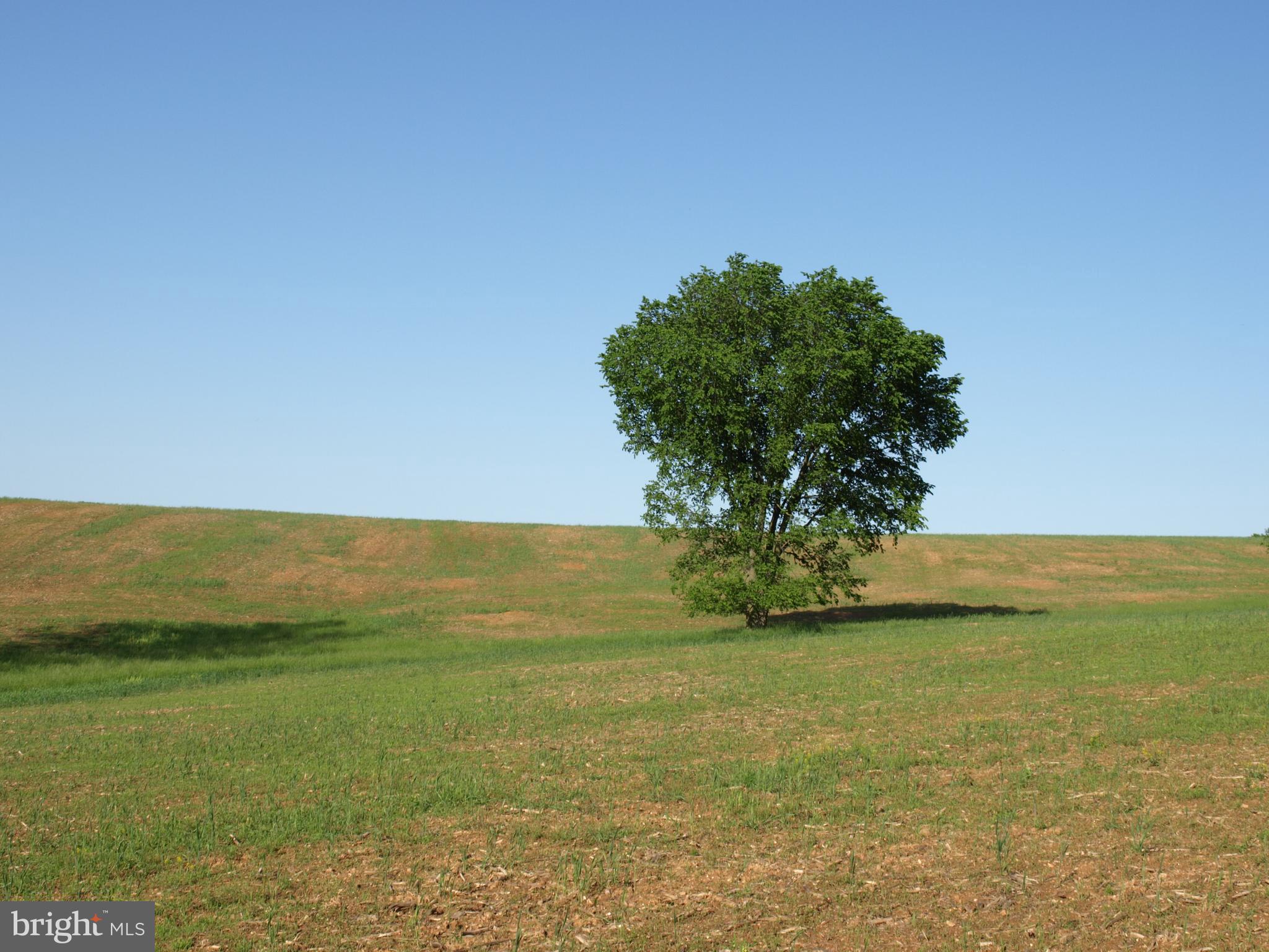 RESERVE AT BLACK ROCK - Land