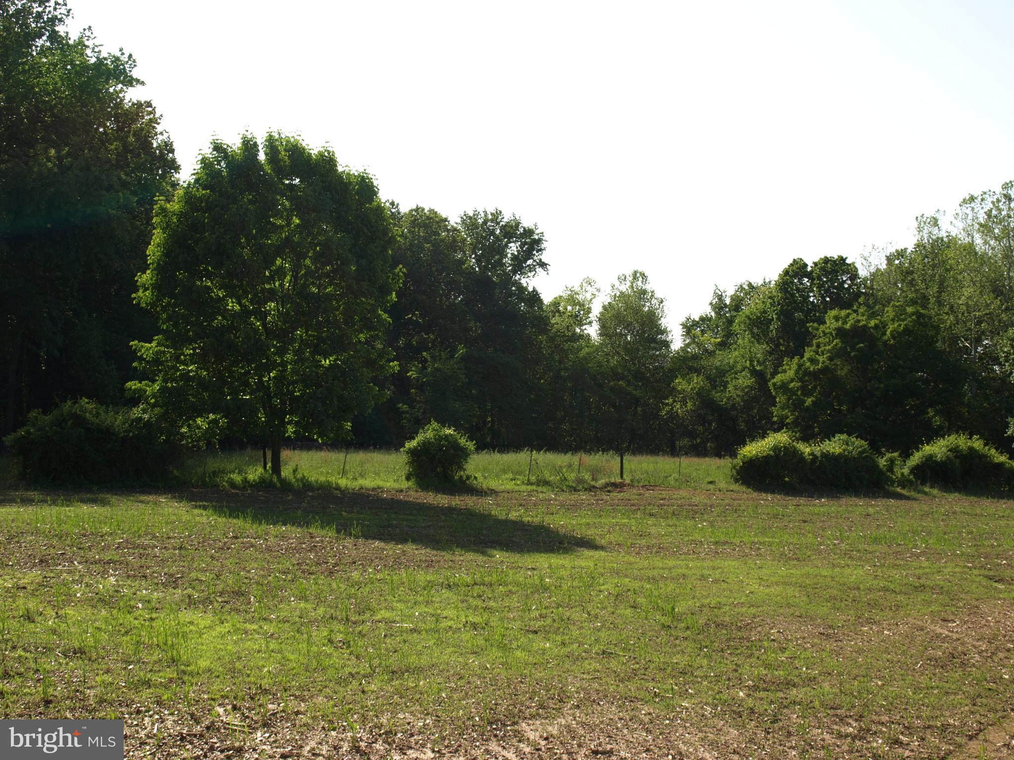 RESERVE AT BLACK ROCK - Land