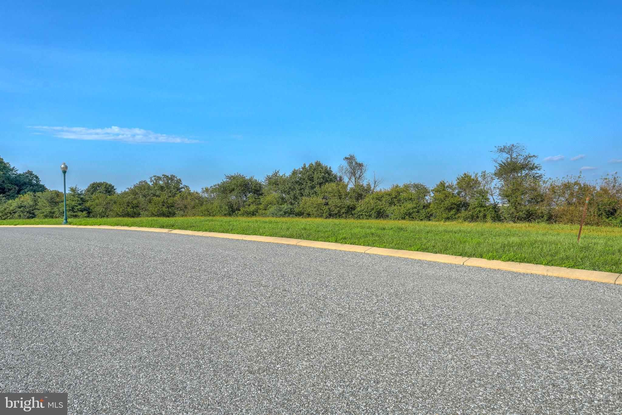 Contact your agent for more information.    Great views on this ready to build lot in popular Spring Forge development. All public utilities.  Sidewalks and lantern style street lights. Excellent location. Beautiful curved streets. Owner financing available. $500 HOA fee due at settlement. Additional lots available