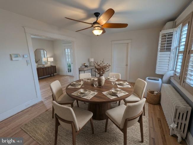 HALETHORPE - Residential