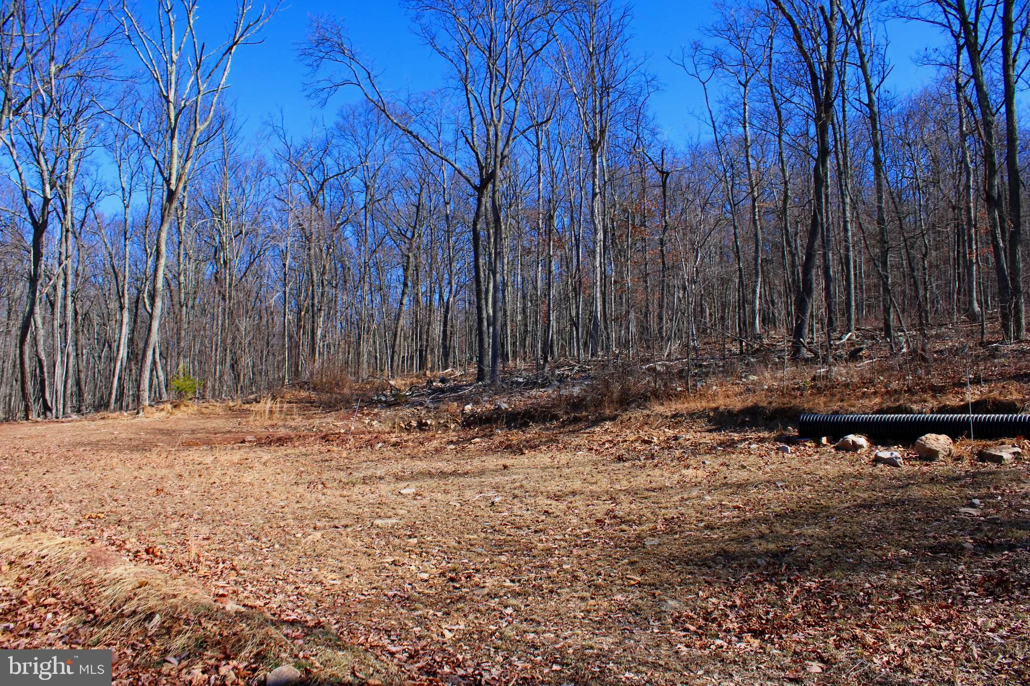 Escape the hustle of city life with this exceptional 5.75-acre property, just a quick 2-hour drive from Washington DC. Nestled amidst nature's embrace, this parcel boasts a cleared build site and convenient access to electricity, making it the ideal canvas for your dream home or weekend retreat. Explore the beauty of the outdoors with numerous stoned-lined trails, offering endless opportunities for hiking and hunting. Whether you're seeking a peaceful haven for a single-family residence, a weekend retreat, or an investment opportunity, this property offers the perfect blend of tranquility and convenience. Don't miss your chance to make this slice of paradise yours.