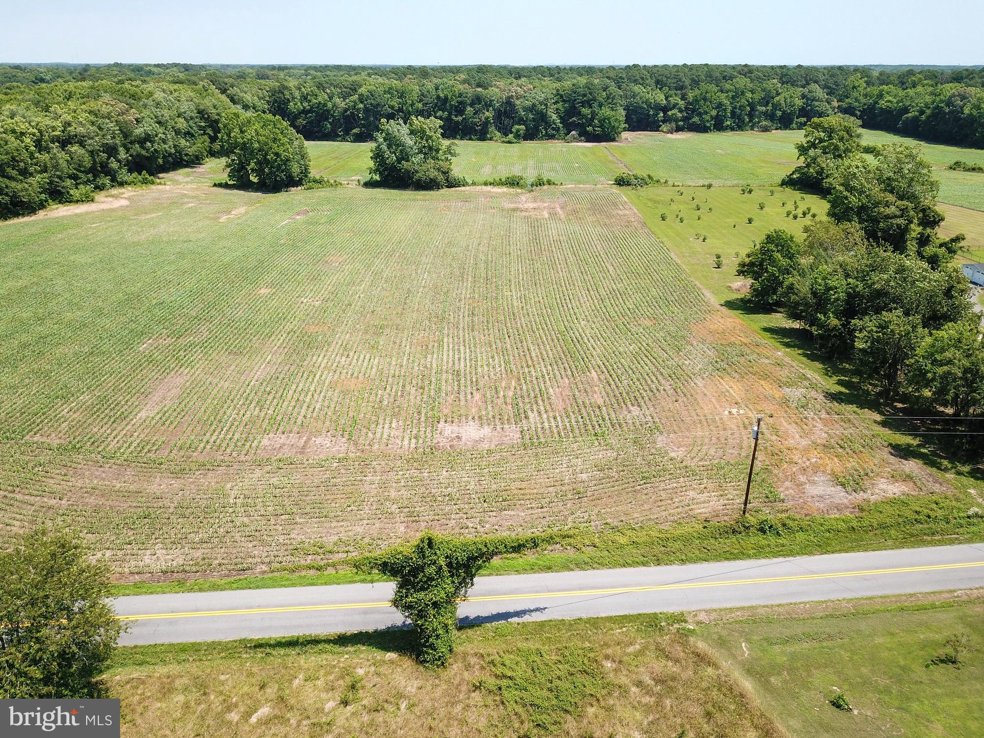 NON DEVELOPMENT - Residential
