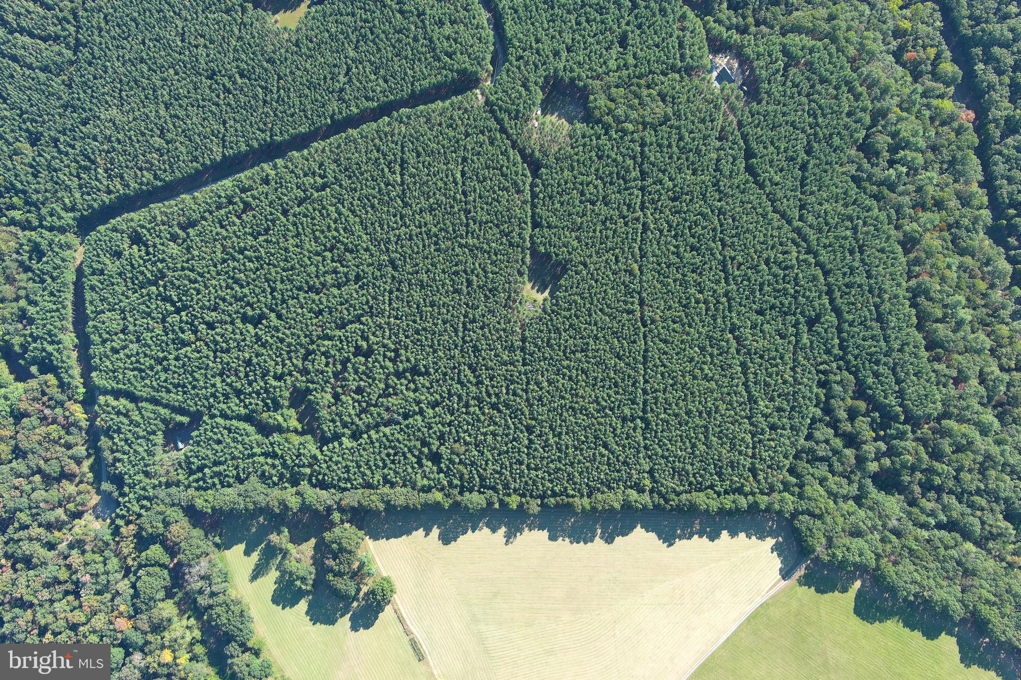 ASHTON WOODS - Land