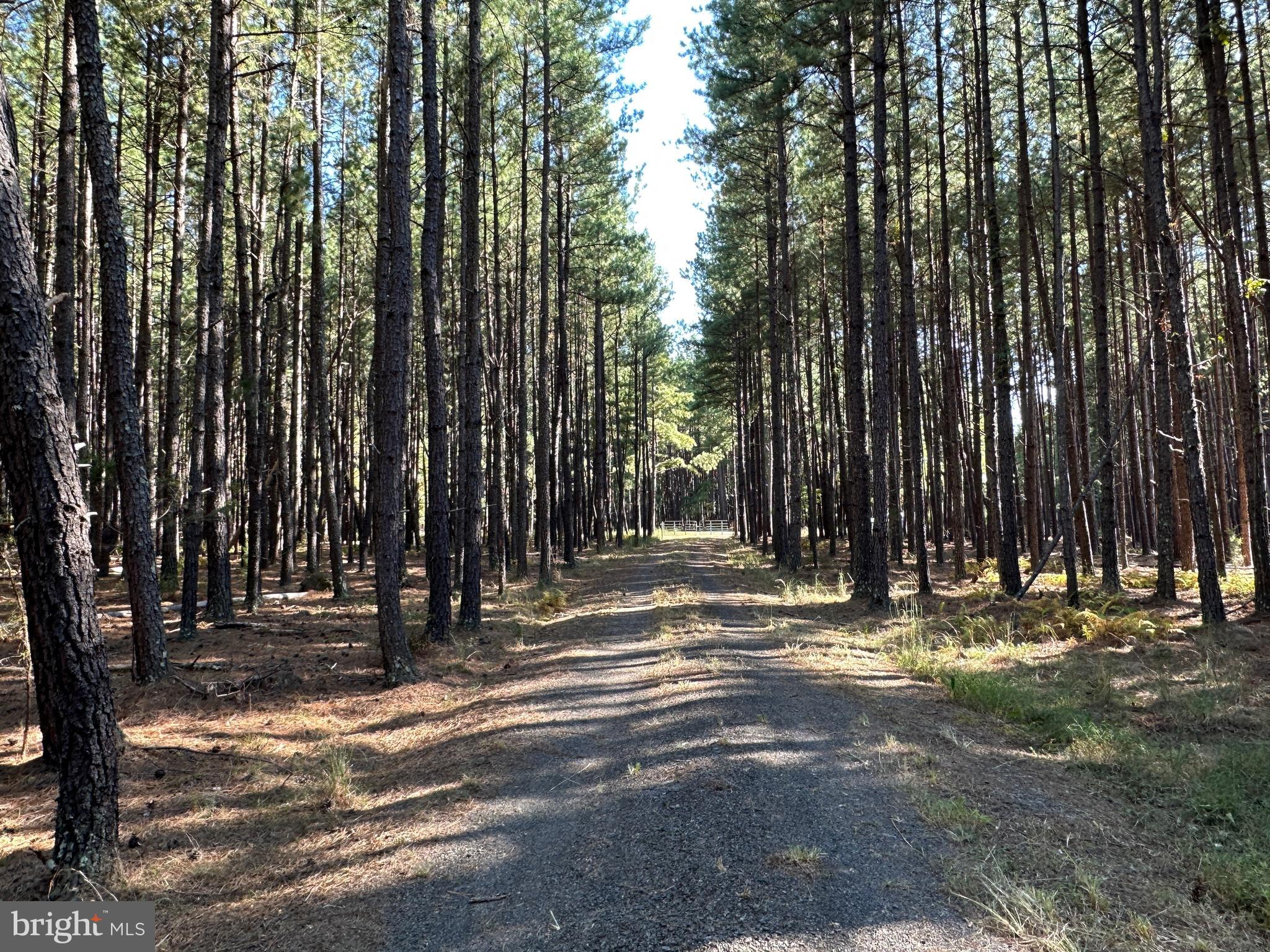 ASHTON WOODS - Land