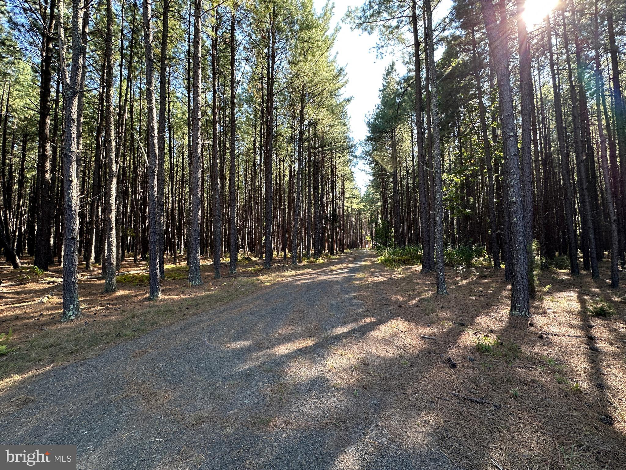 ASHTON WOODS - Land