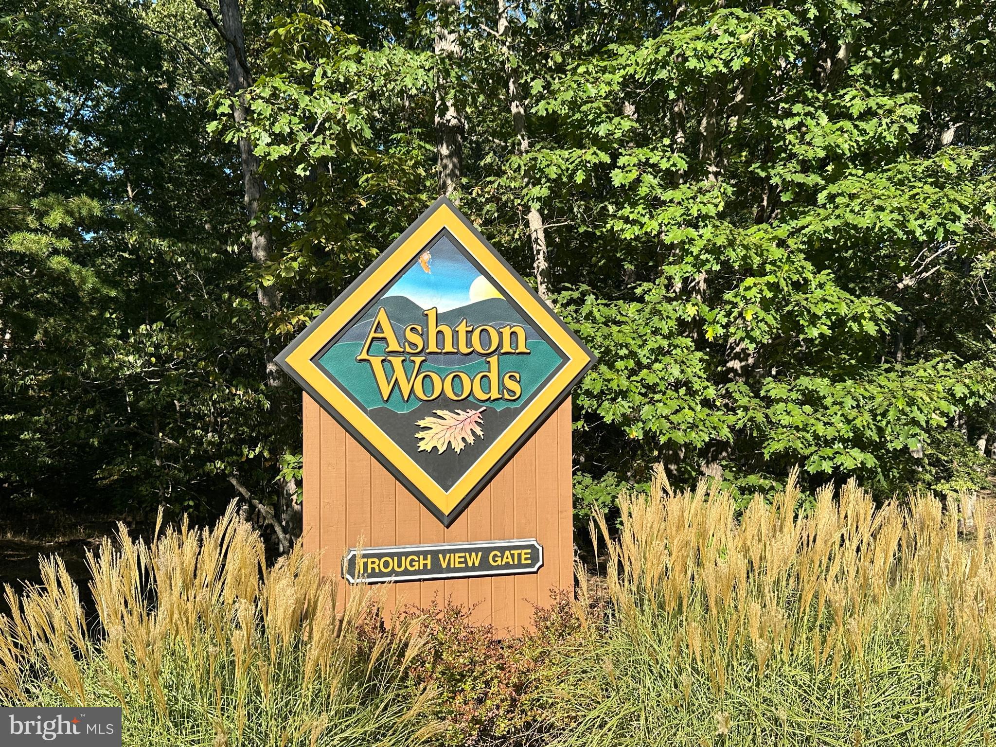 ASHTON WOODS - Land