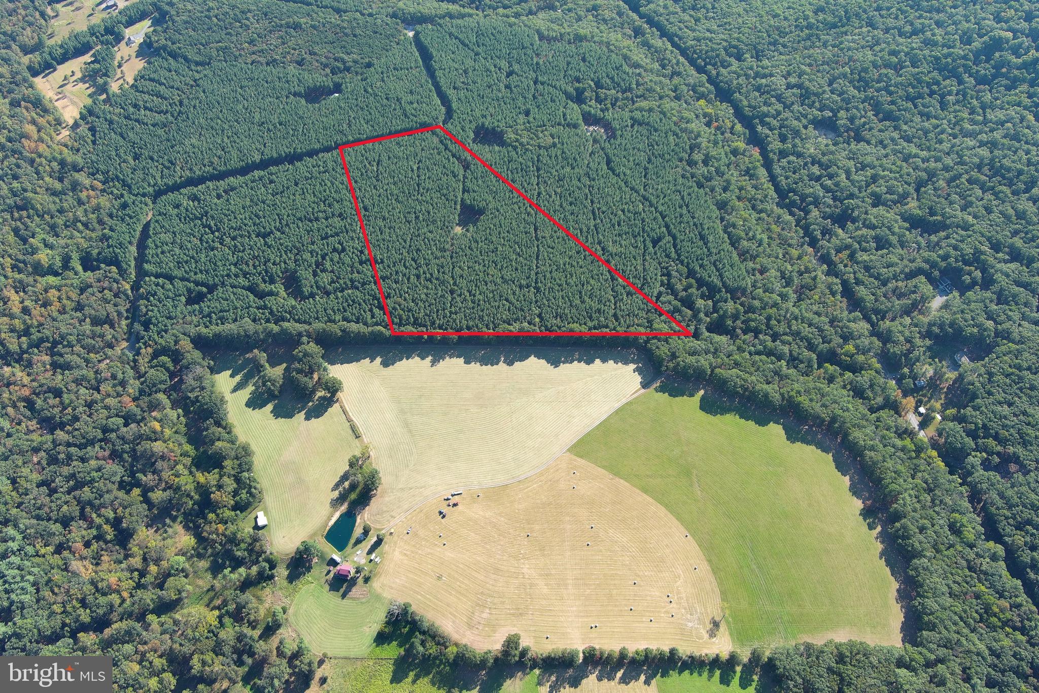 POSTCARD PICTURE PERFECT.....20 FLAT ACRES OF MAJESTIC LOBLOLLY PINE FOREST WITH GORGEOUS DRIVEWAY LEADING TO CLEARED BUILD/CAMP SITE IN THE CENTER OF THE PROPERTY FOR MAXIMUM PRIVACY. 15K WORTH OF WORK ALREADY DONE BETWEEN THE DRIVEWAY & CLEARING. ADJACENT TO A STUNNING FARM......EVERYTHING ABOUT THIS PROPERTY IS PICTURE PERFECT AND POSTCARD WORTHY! LOCATED JUST BEYOND THE GATE IN THE EXCLUSIVE MOUNTAIN COMMUNITY OF ASHTON WOODS, THE LARGEST DEVELOPMENT OF IT'S KIND ON THE EAST COAST.....10,000 + ACRES COMPRISED OF 362 20+ ACRE TRACTS AND 48 MILES OF INTERNAL ROADS....THE COMMUNITY ALSO ADJOINS NATHANIEL MOUNTAIN WILDLIFE MANAGENT AREA.....10,000 MORE ACRES OF PUBLIC HUNTING AND HIKING! THIS LOT OFFERS ALL OF THE FEATURES AND BENEFITS OF BEING IN ASHTON WOODS WITHOUT HAVING TO TRAVEL SEVERAL MILES OF DUSTY WINDY ROADS......AND YOU'RE CLOSER TO ALL THE EXTERNAL BENEFITS OF THE AREA: 5 MINUTE DRIVE IN ANY DIRECTION TO PUBLIC ACCESS ON THE SOUTH BRANCH OF THE POTOMAC RIVER, 10 MINUTES FROM WAL MART, SHOPPING, THEATERS, RESTAURANTS & 4 LANE SUPER HIGHWAY, 40 MINUTES FROM SKI RESORTS AND WORLD CLASS TROUT FISHING. IT'S HARD TO BELIEVE THAT A RECREATIONAL MOUNTAIN OASIS SUCH AS ASHTON WOODS EVEN EXISTS......BUT IT DOES....AND IT'S AN EASY 2 HOUR DRIVE FROM THE DC METRO AREA! HUNT, CAMP, SHOOT, ATV'S.....BUILD YOUR WEEKEND RETREAT OR BECOME A FULL TIME MOUNTAINEER.....POWER & PERKED! COME PUNCH YOUR TICKET TO A BETTER WAY OF LIFE, COME SEE WHY SO MANY PEOPLE ARE MAKING THE MOVE, COME SEE WHY OUR STATE IS CALLED ALMOST HEAVEN!