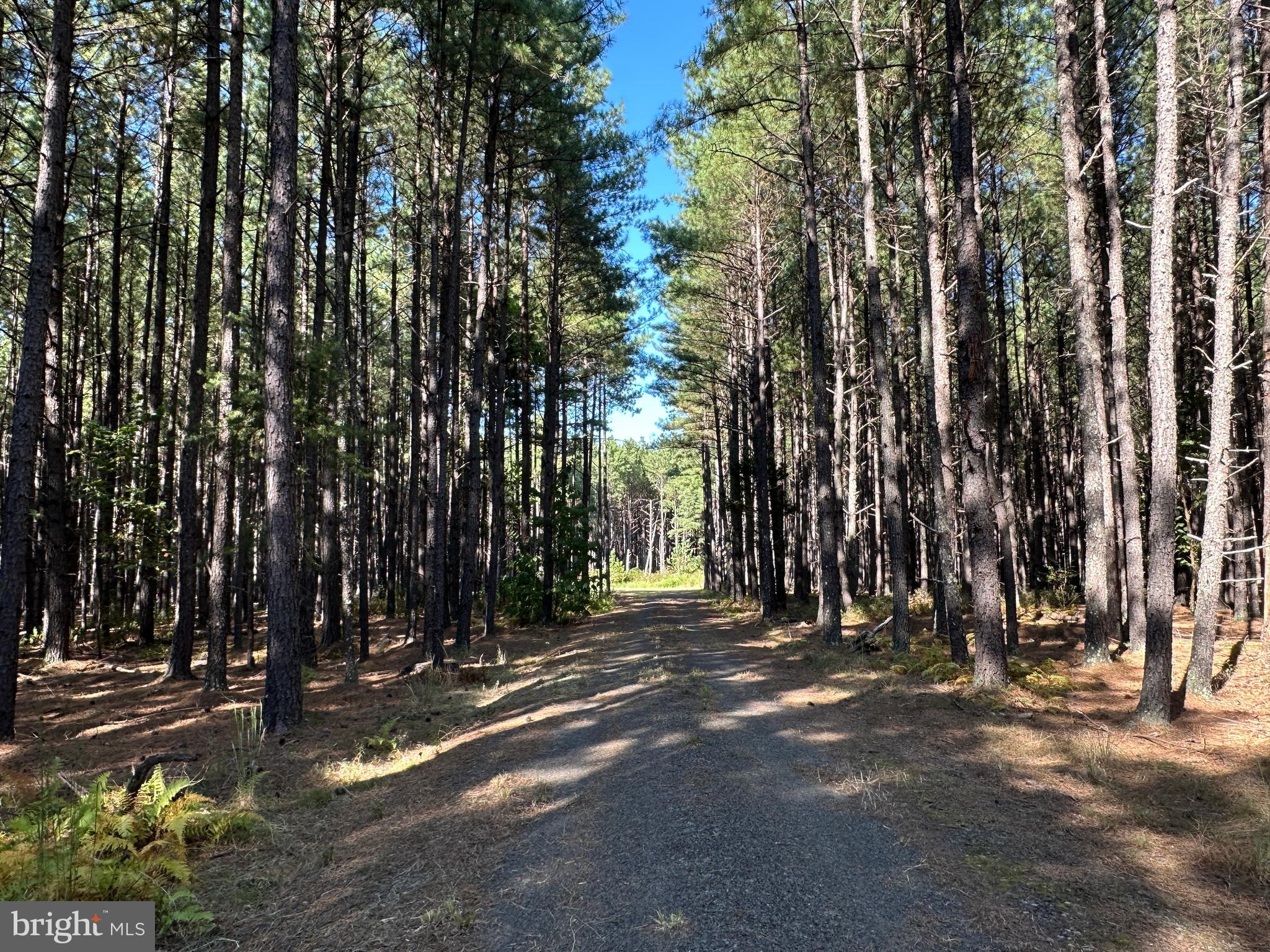 ASHTON WOODS - Land