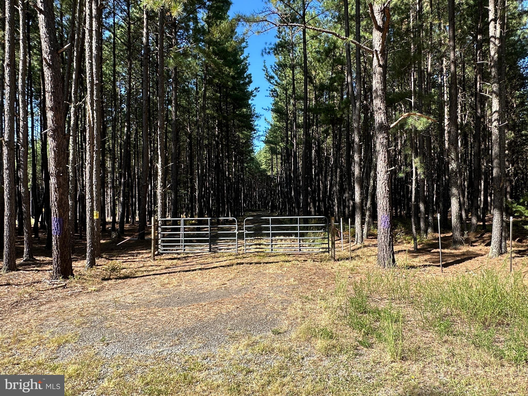 ASHTON WOODS - Land