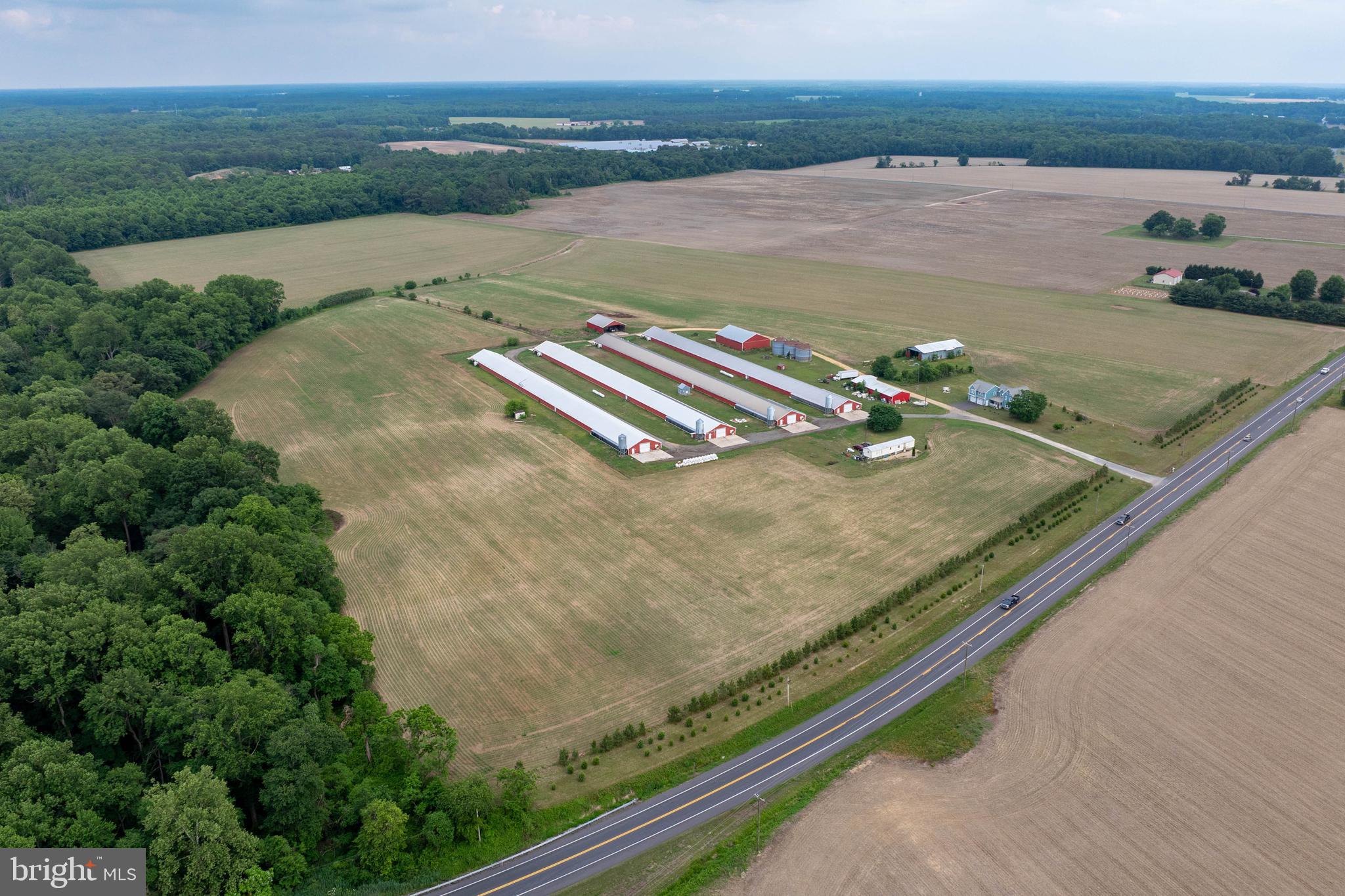 NONE AVAILABLE - Farm
