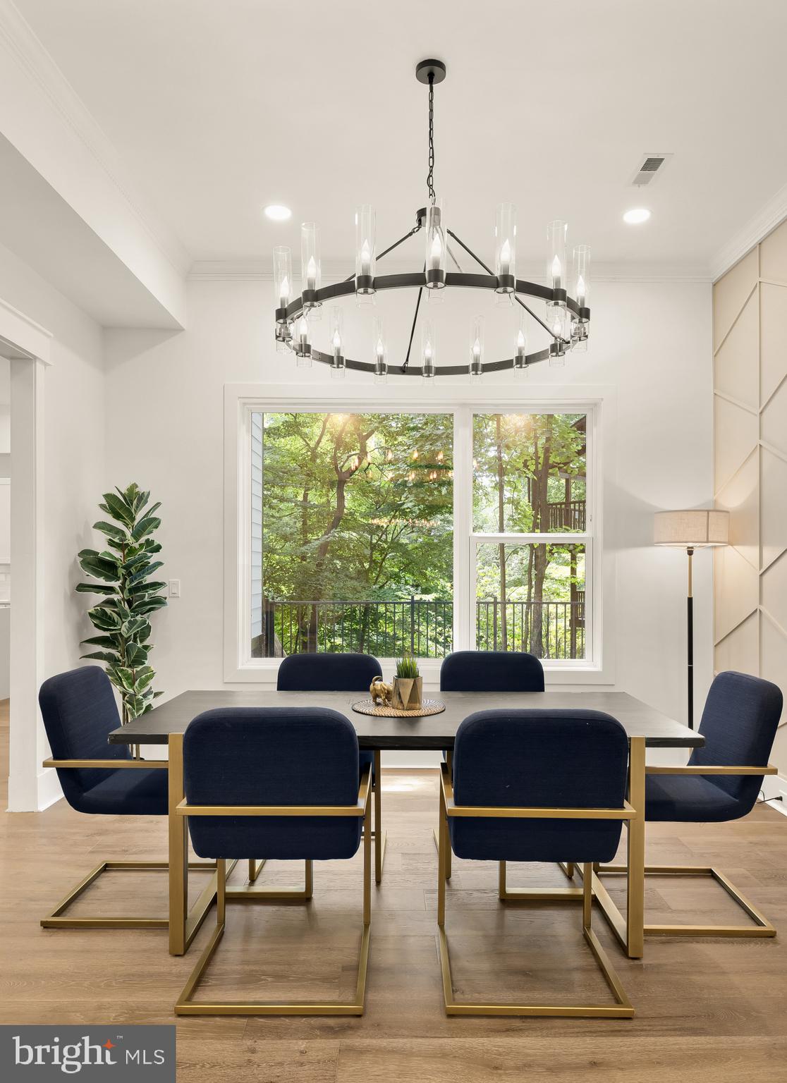 TAKOMA PARK - Residential