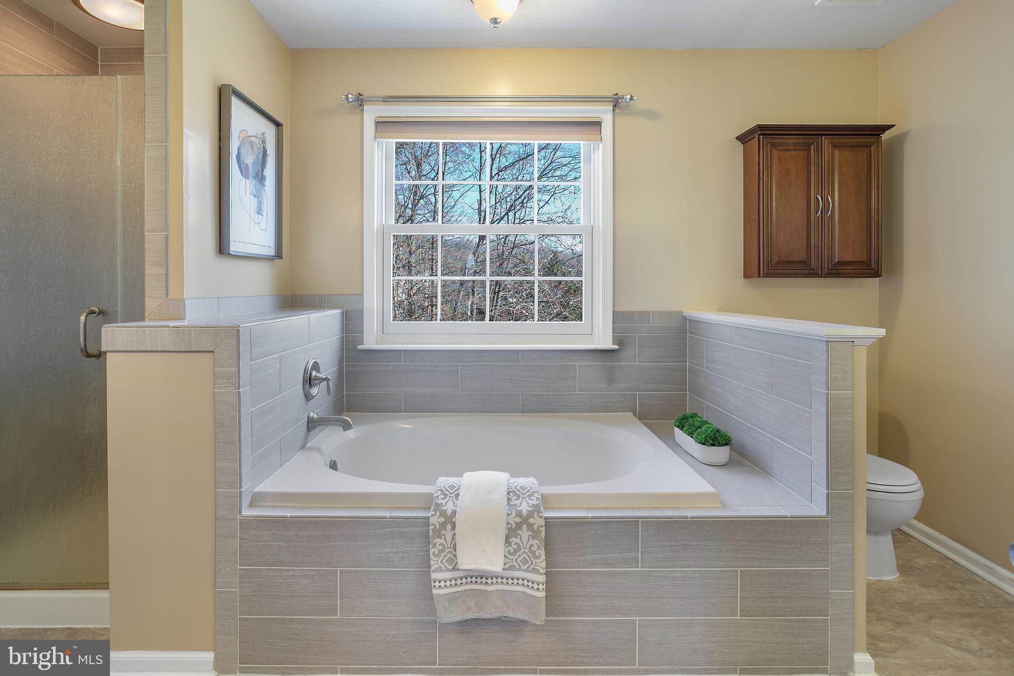 STONEBRIDGE AT WIDEWATER - Residential