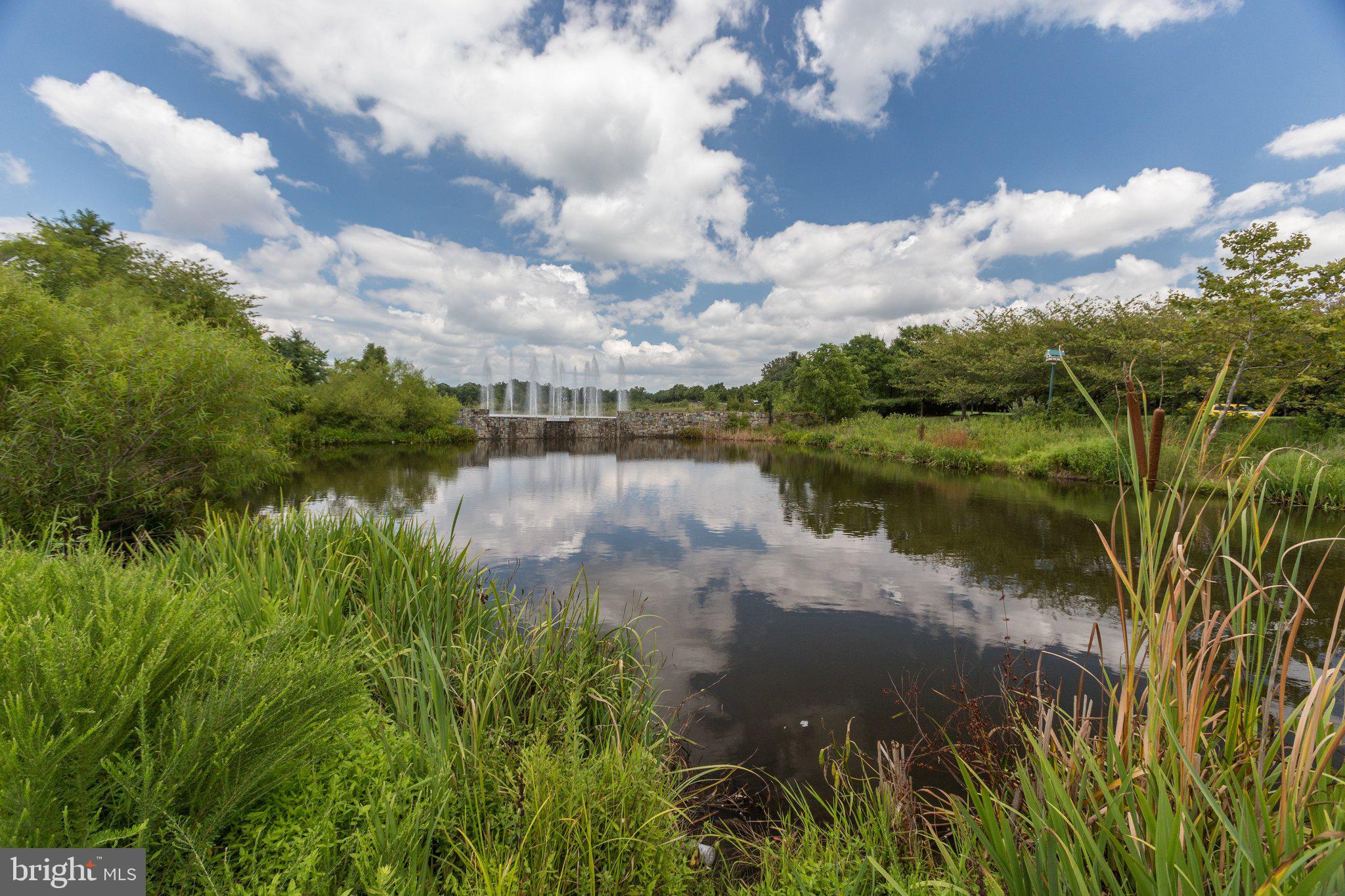 LAKESIDE AT SOUTH RIDING - Residential
