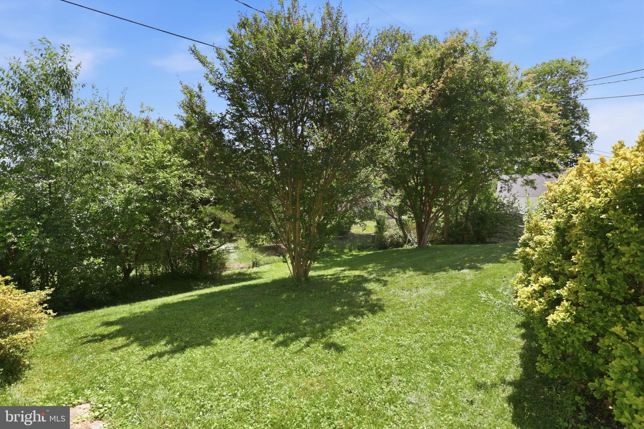 WHITEHALL AT BELAIR - Residential