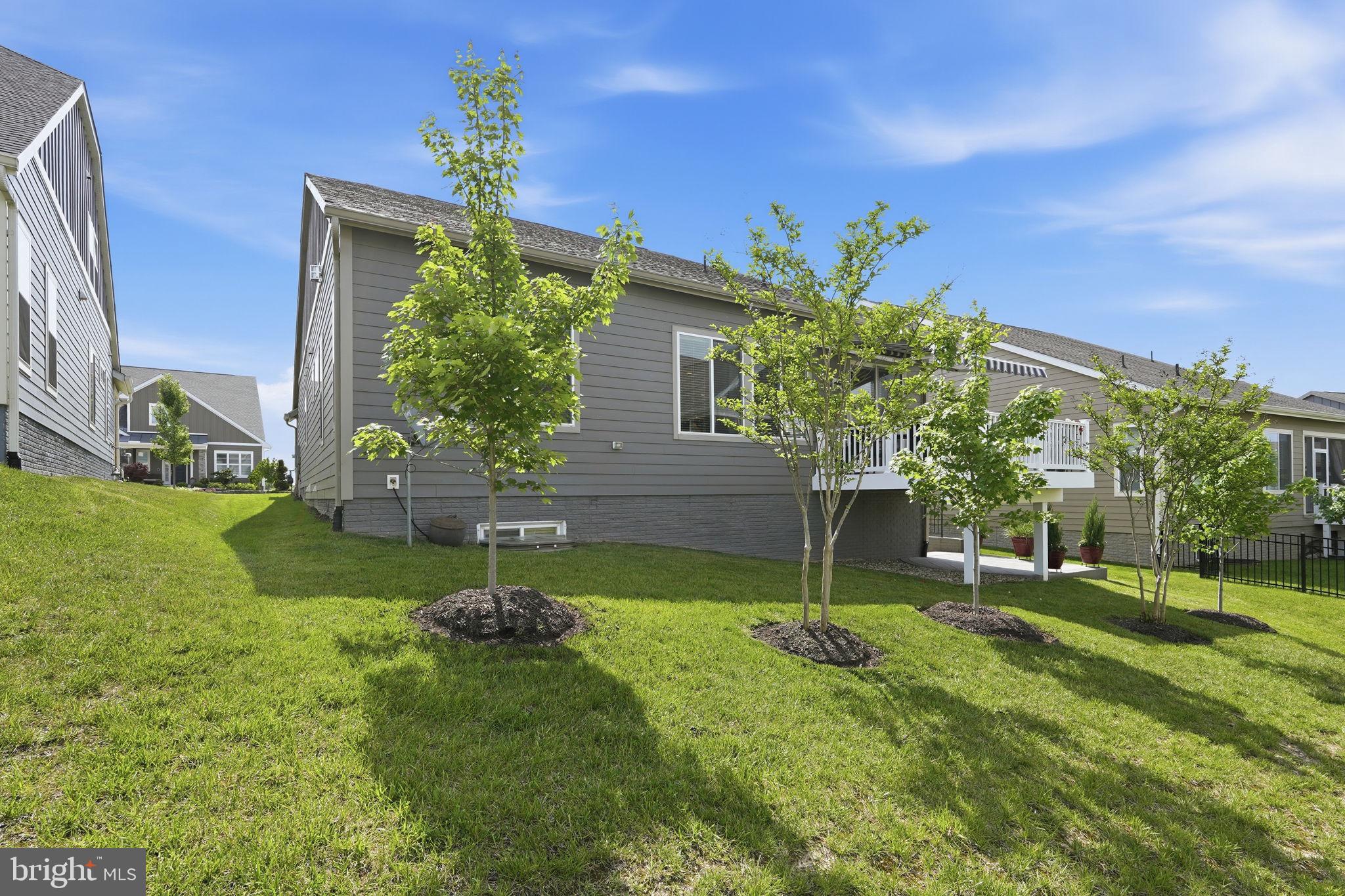 SHENANDOAH - Residential