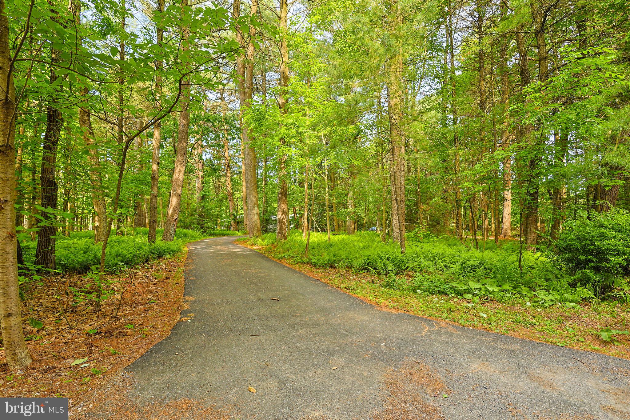 PINE WOOD ACRES - Residential