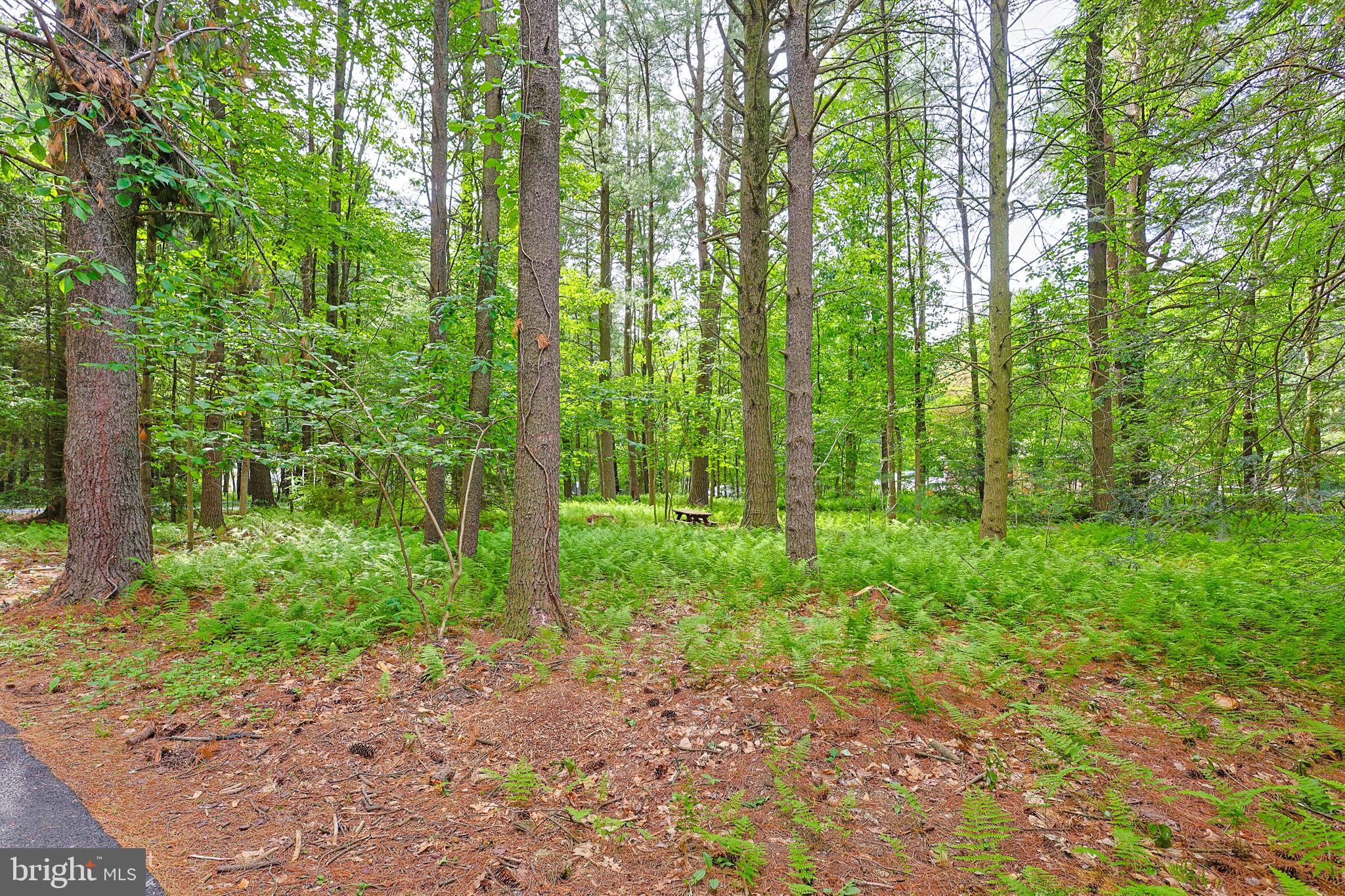 PINE WOOD ACRES - Residential
