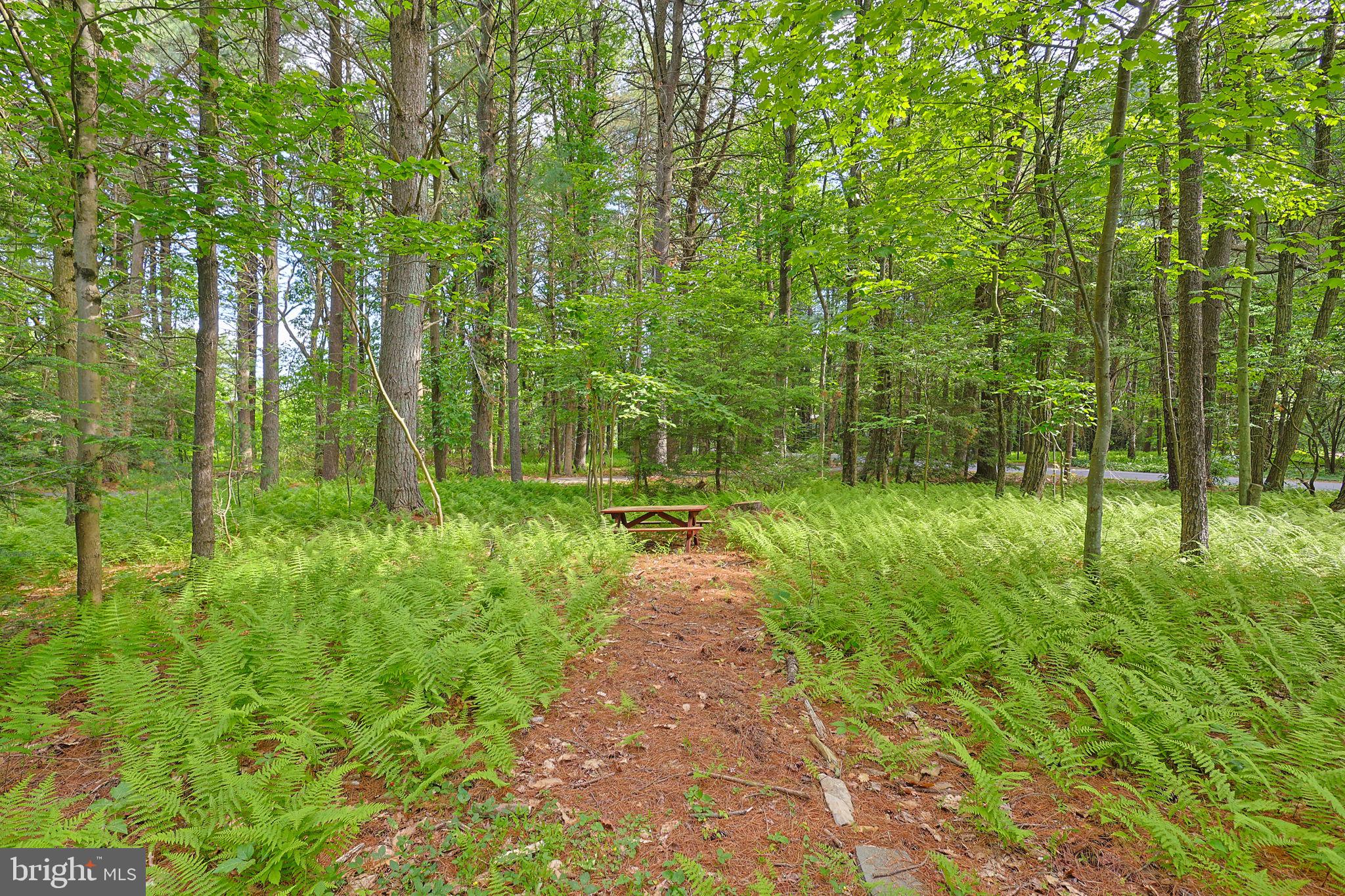 PINE WOOD ACRES - Residential