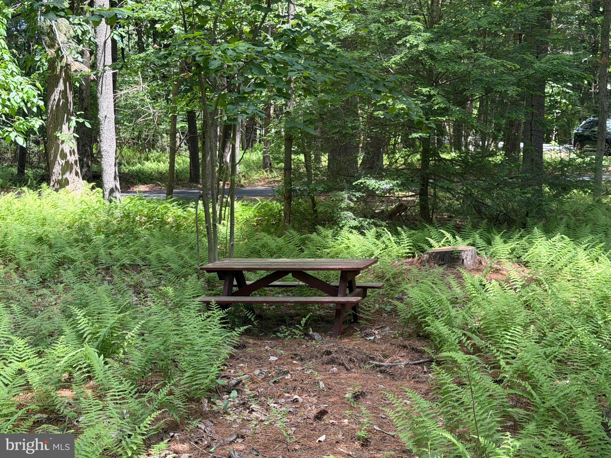 PINE WOOD ACRES - Residential
