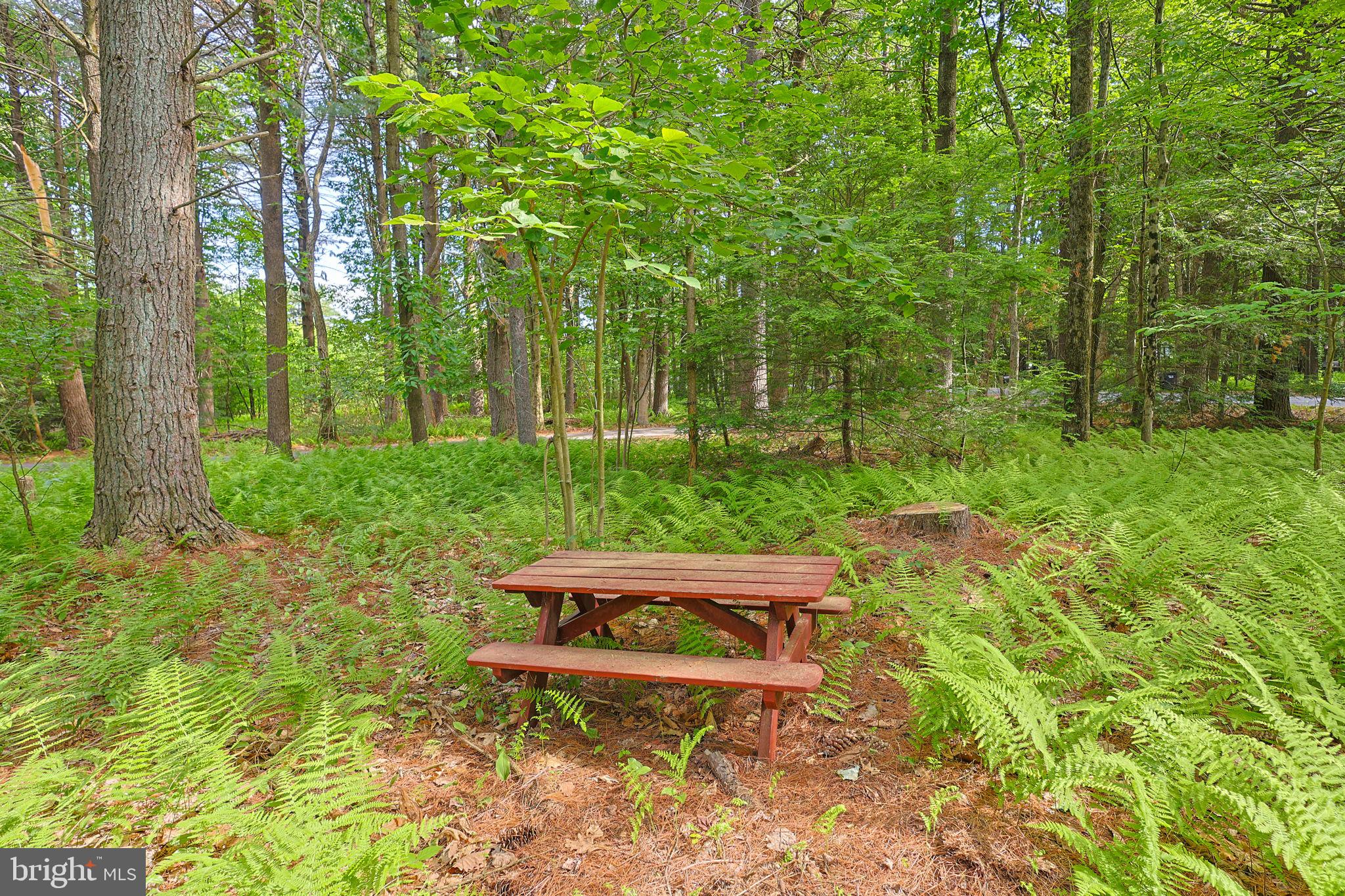 PINE WOOD ACRES - Residential