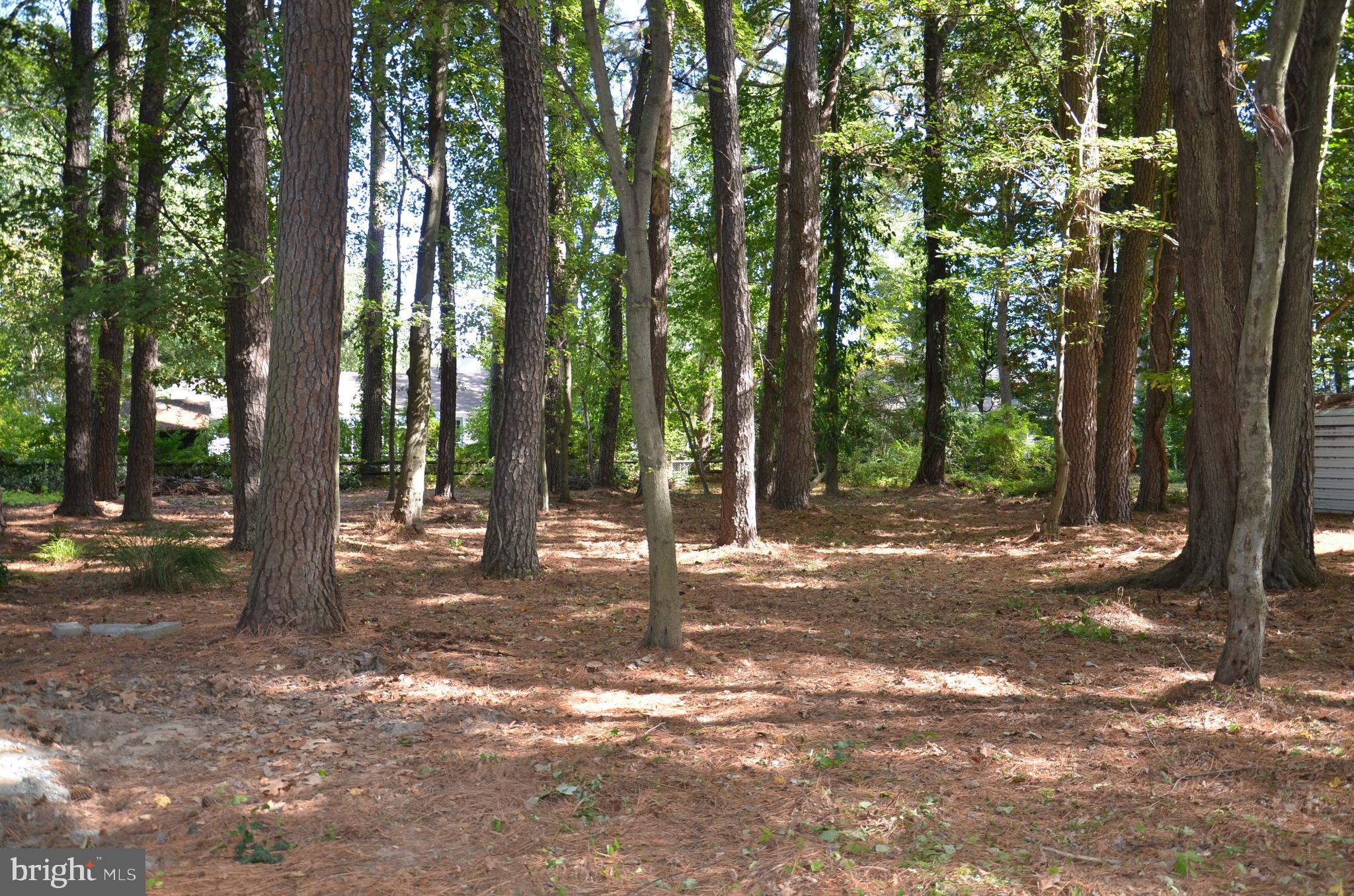 One of the few remaining building lots in the St. Michaels area. This is a prime building lot, 75' x 150', ready for someone to design and construct a new home. Public water/sewer and high-speed internet available for hookup. Calvert Avenue is a convenient address, near schools, banks, grocery stores, boat ramps and St. Michaels' many fine shops, museums and restaurants. A public waterfront park on the Miles River, "Sam's Shore Park," is located just 1-block away. No HOA! Not in a high-risk flood zone! No town taxes!