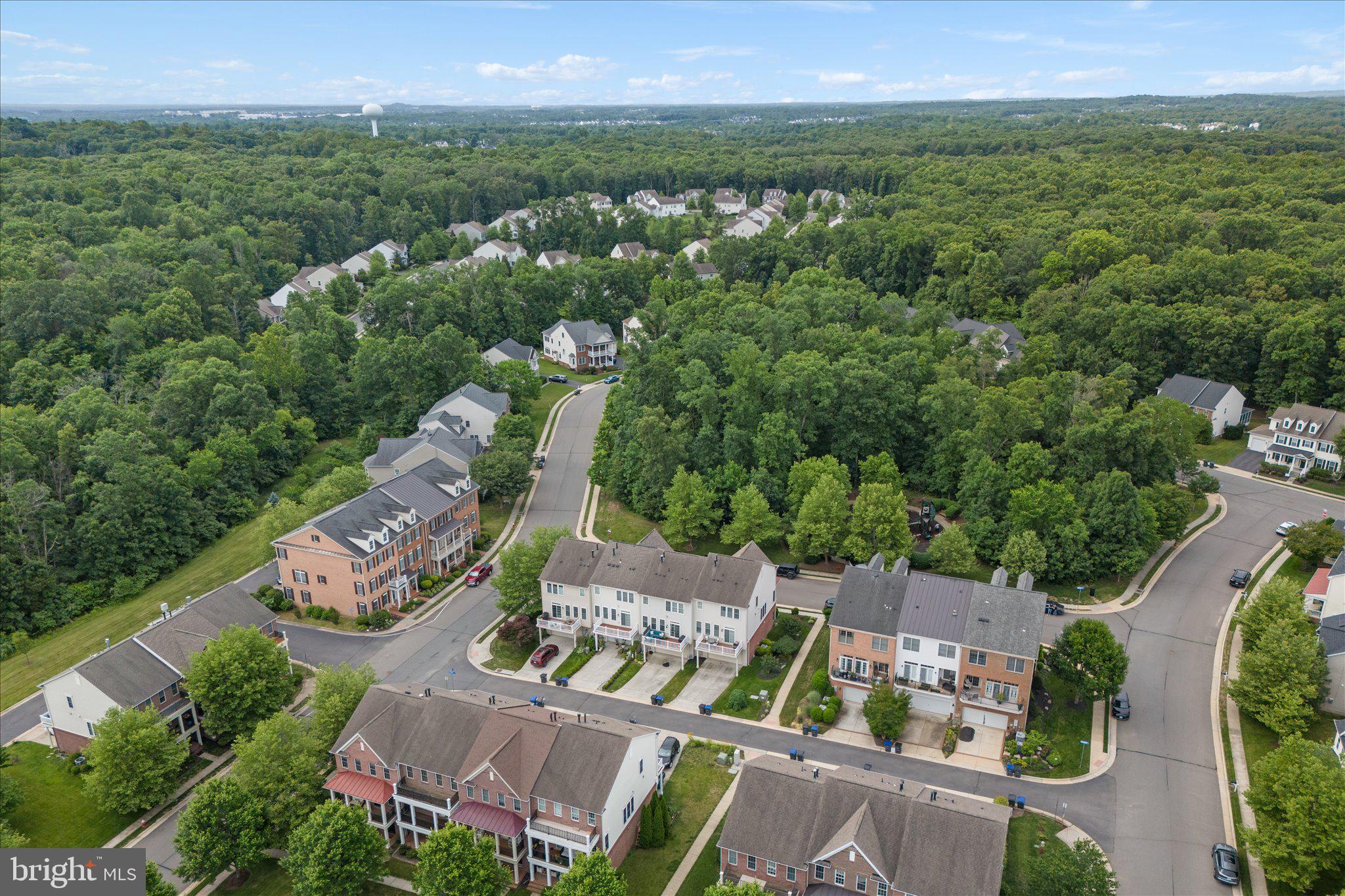 GREENE MILL PRESERVE - Residential