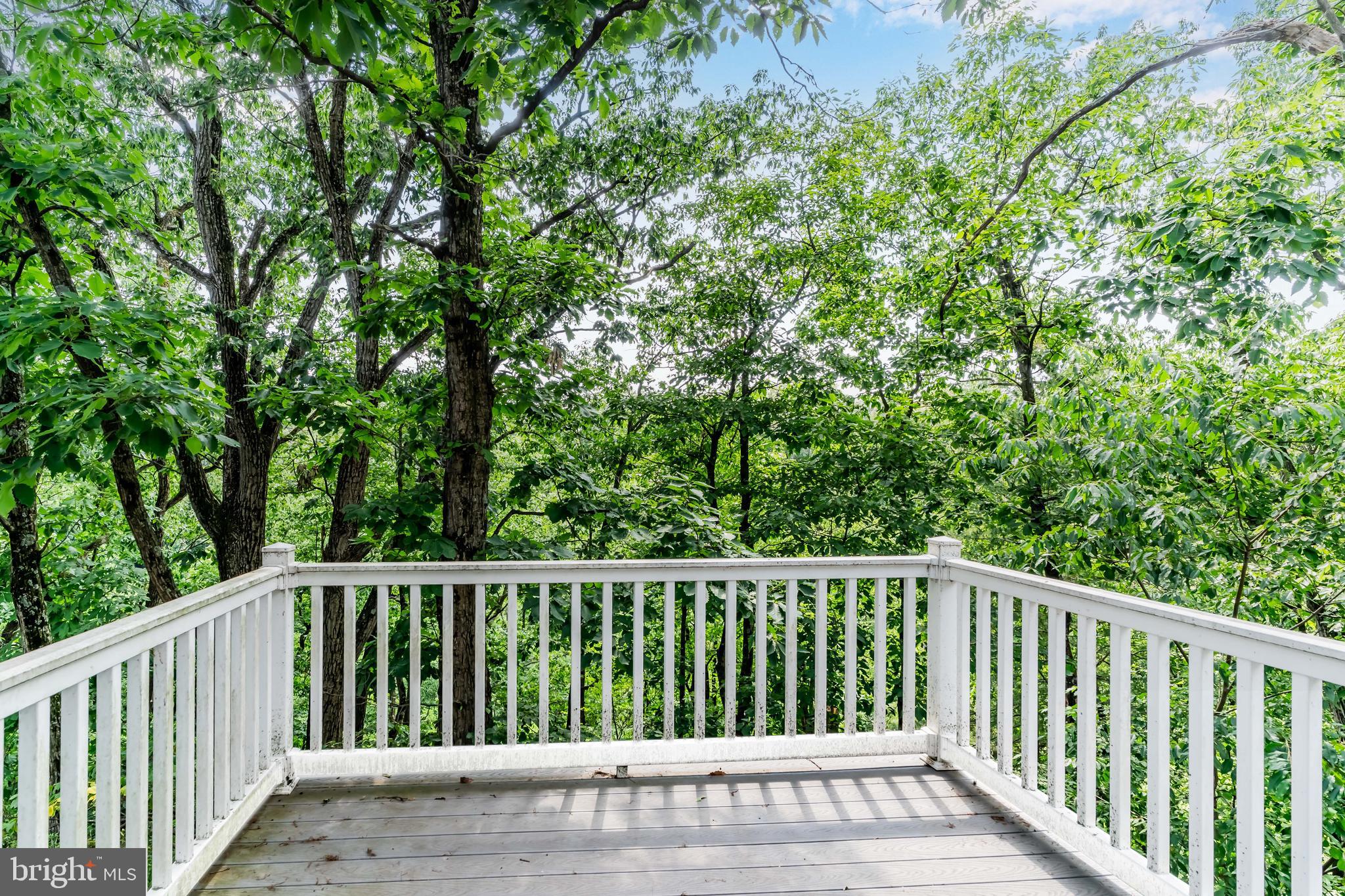 LOCUST RIDGE - Residential