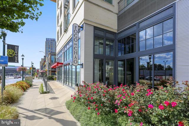 PIKE AND ROSE - Residential