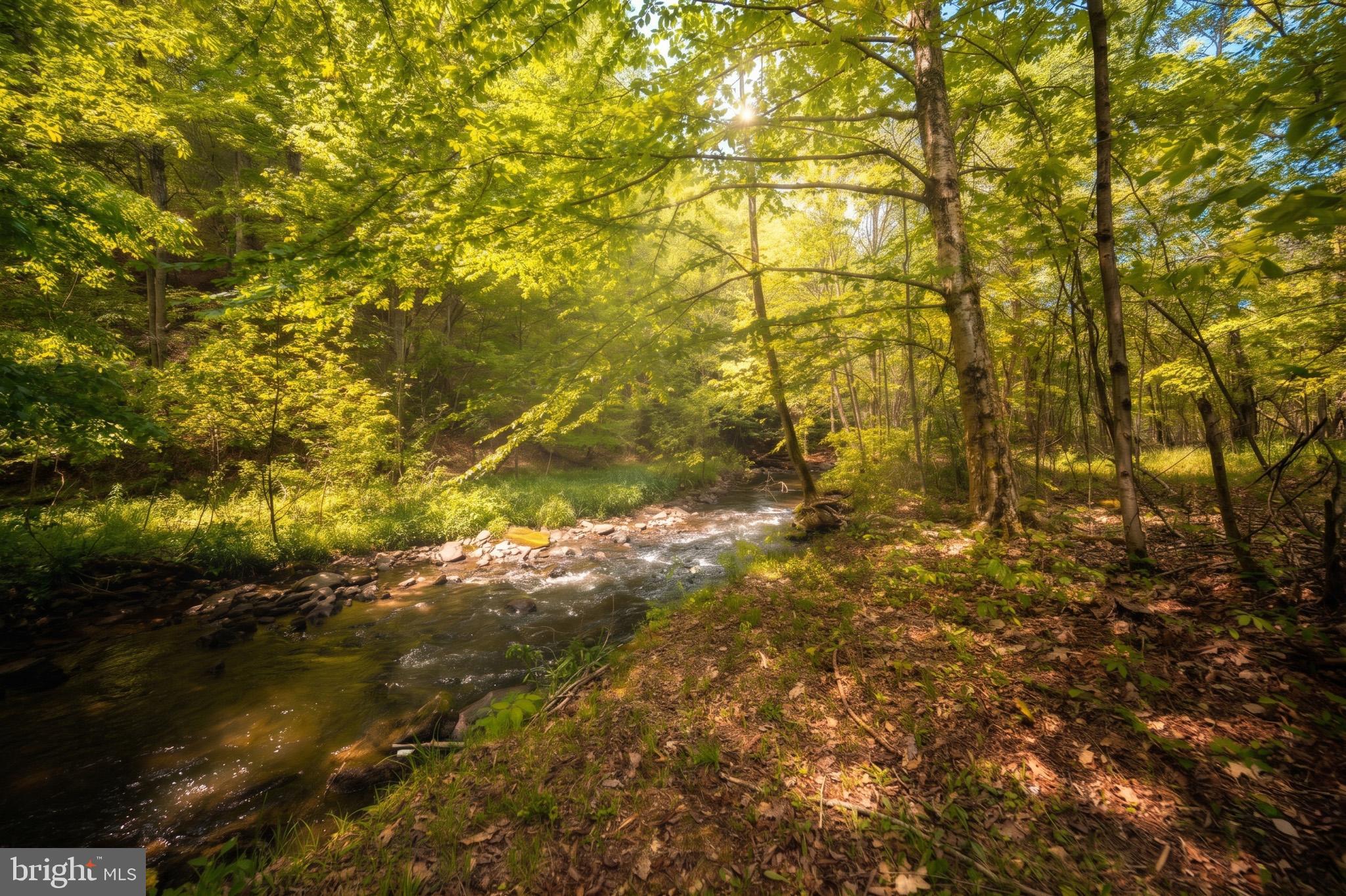 BEAR CREEK - Residential